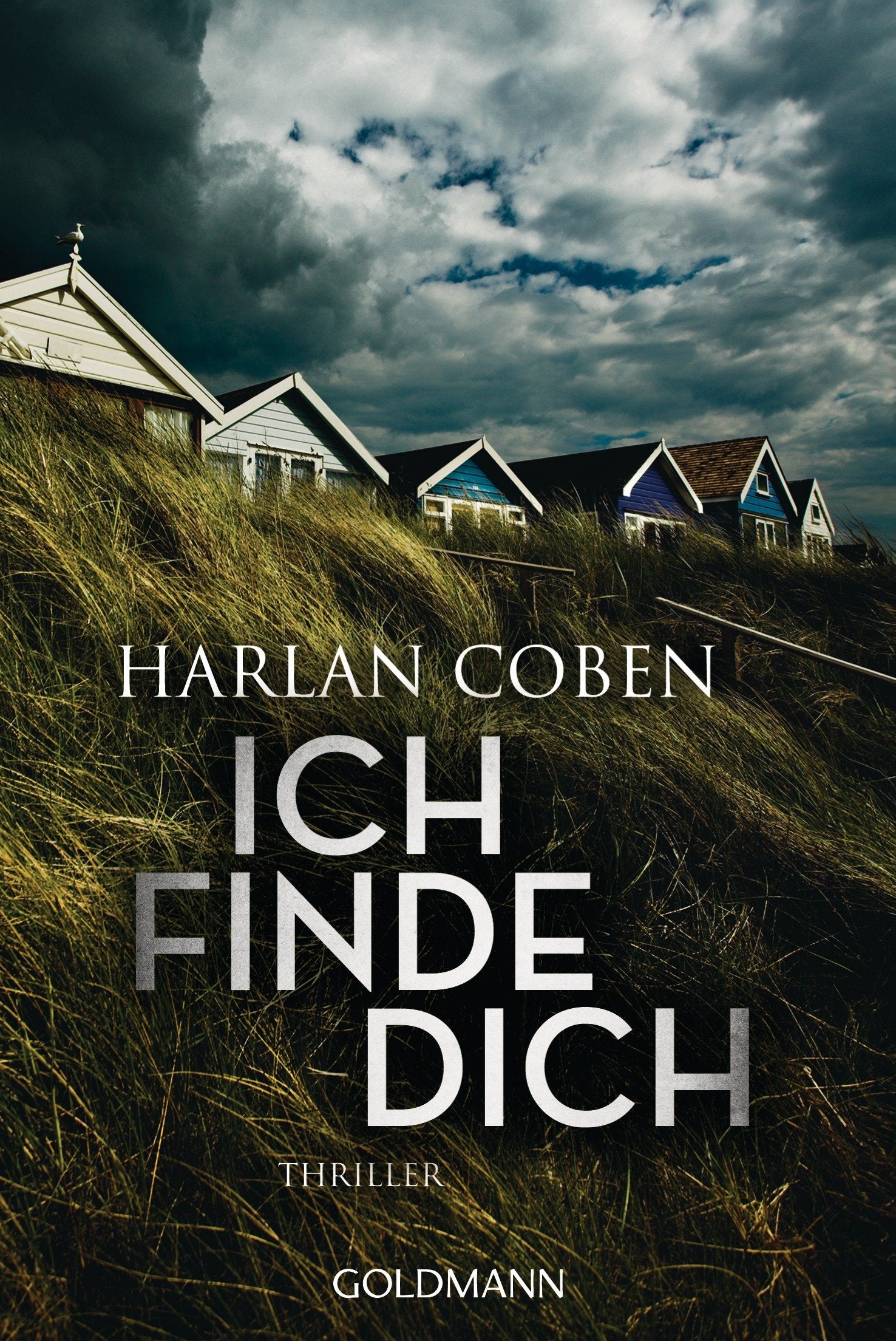 Ich finde dich Contemporary literature Books