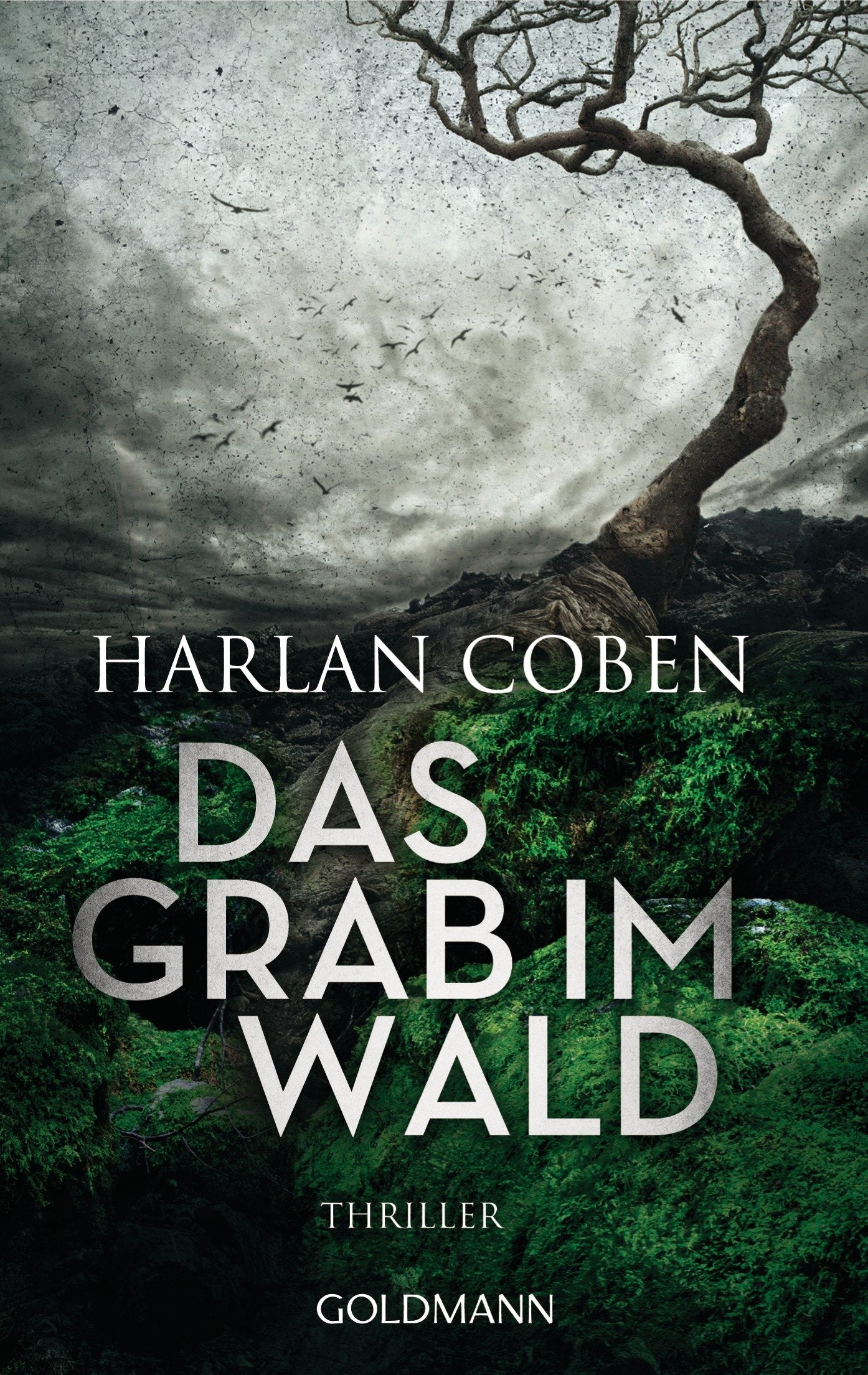 Das Grab im Wald Contemporary literature Books