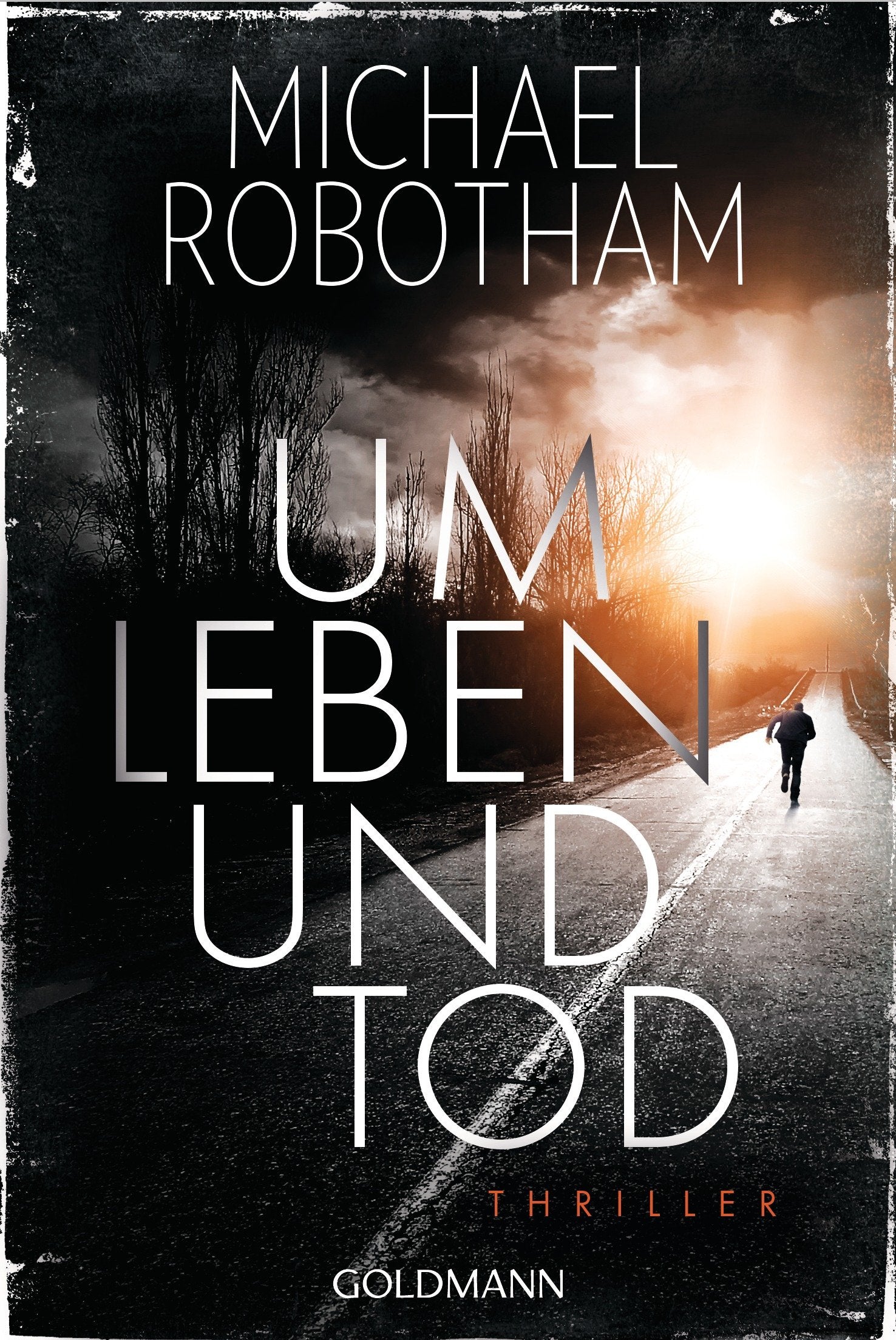 Um Leben und Tod Contemporary literature Books