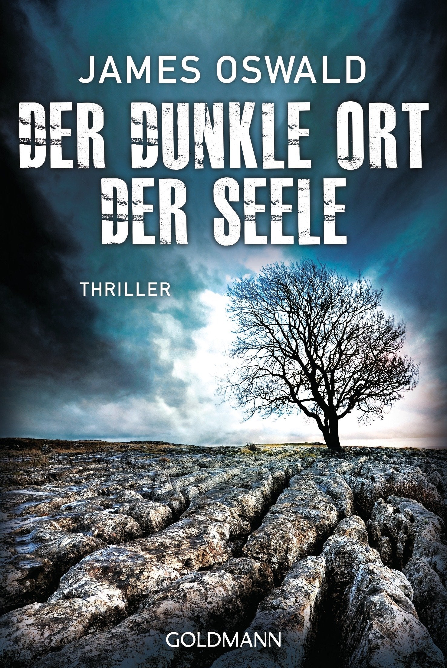 Der dunkle Ort der Seele Contemporary literature Books