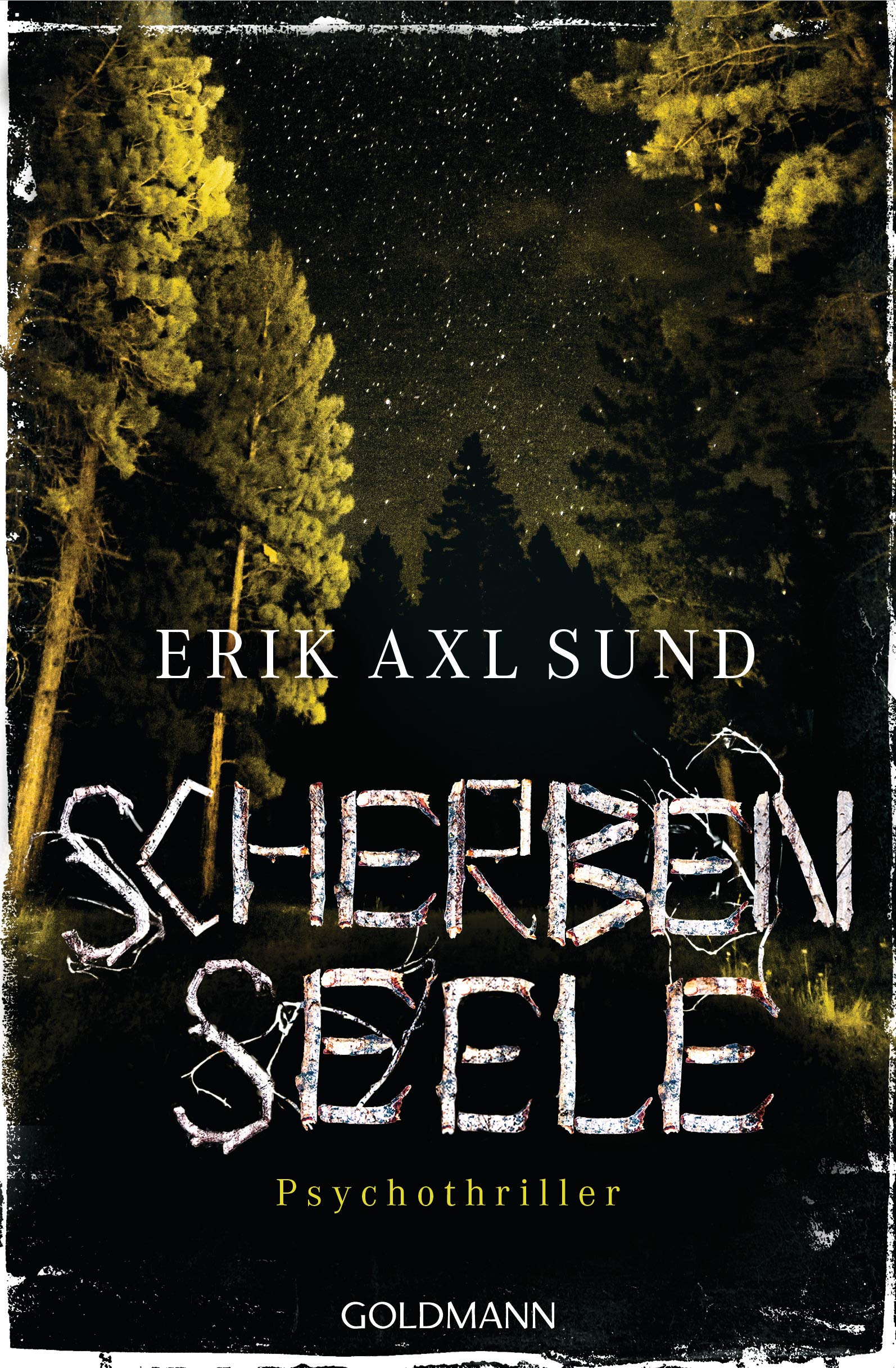 Scherbenseele Contemporary literature Books