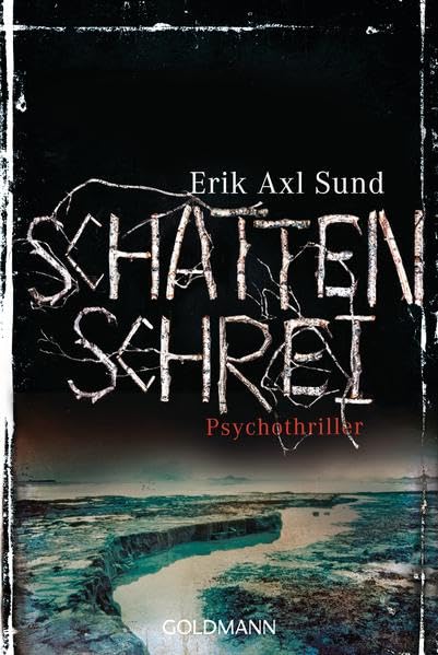 Schattenschrei: Psychothriller - Band 3 der Victoria-Bergman-Trilogie (Die Victoria-Bergman-Trilogie, Band 3) Contemporary literature