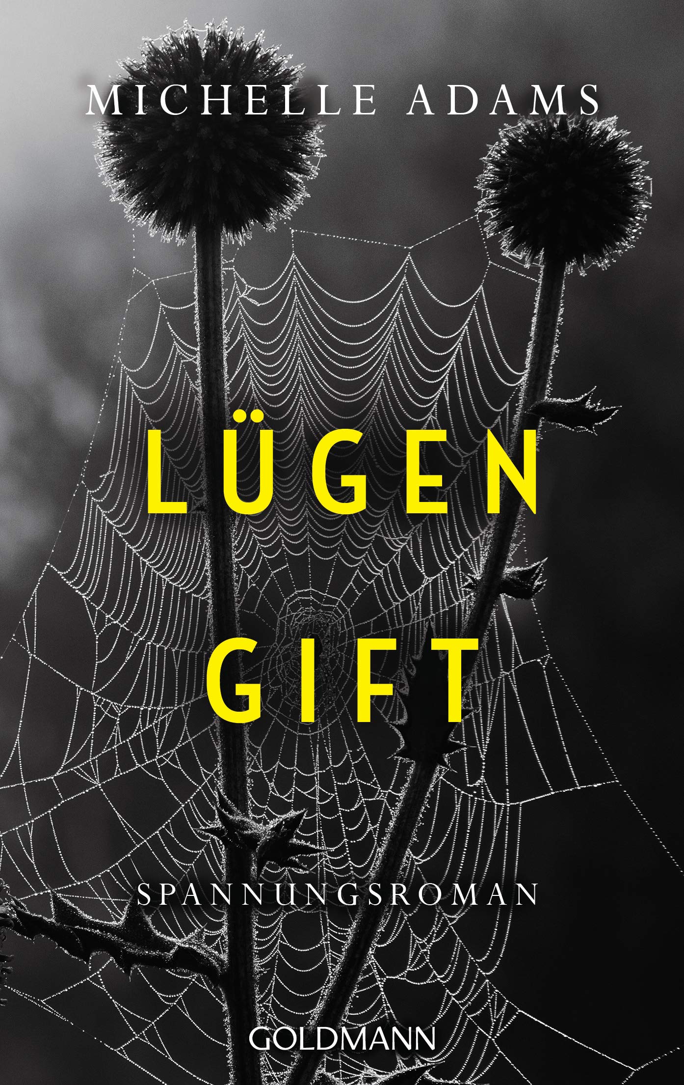Lügengift Contemporary literature Books