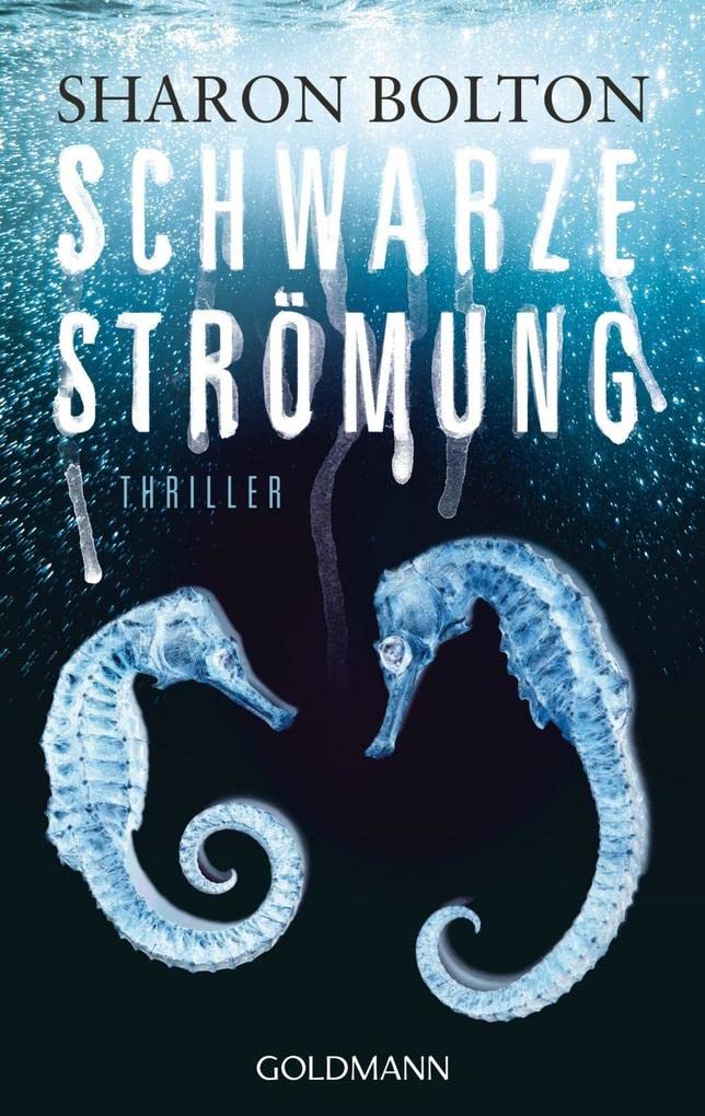 Schwarze Strömung - Lacey Flint 4 Contemporary literature