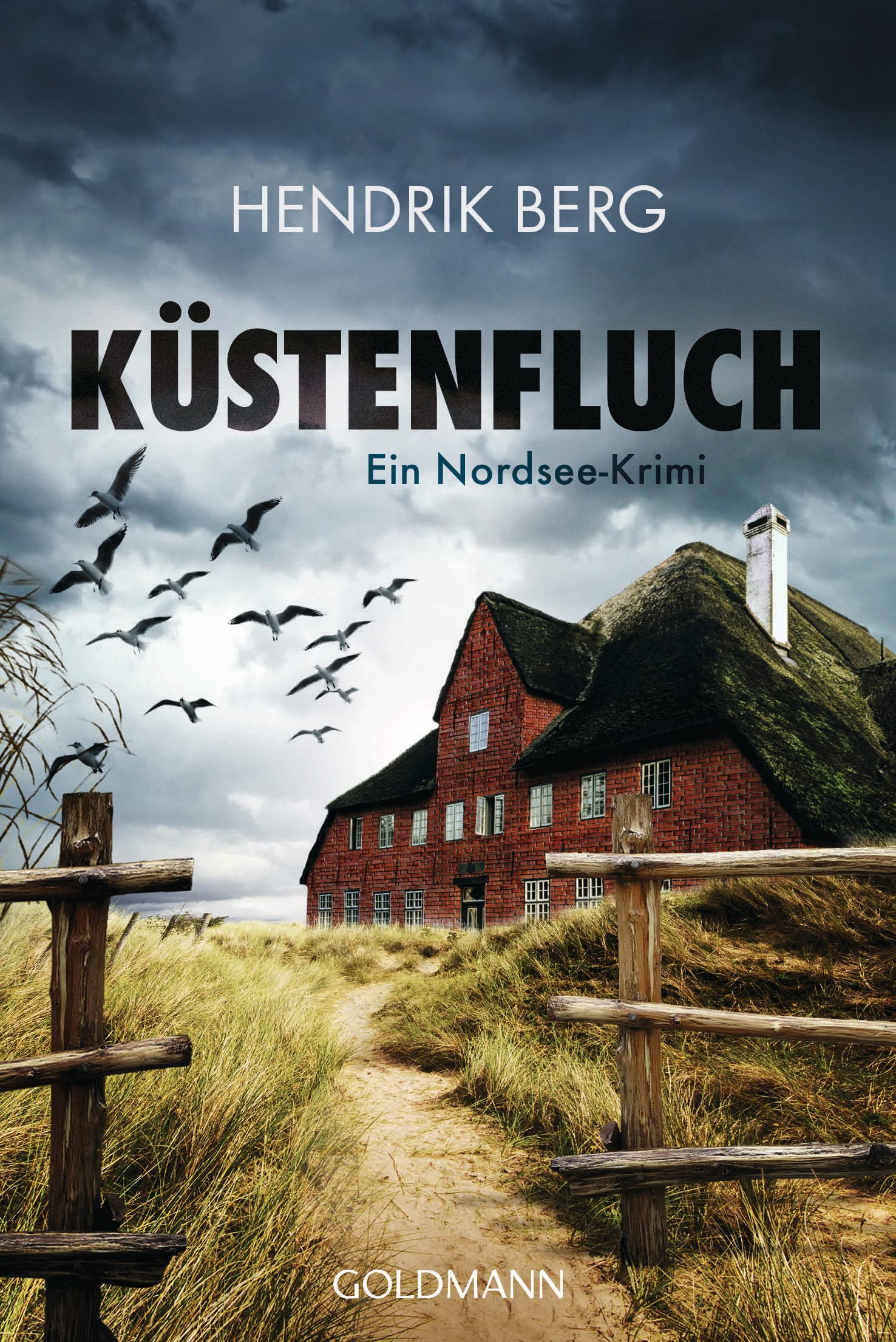 Küstenfluch Contemporary literature Books