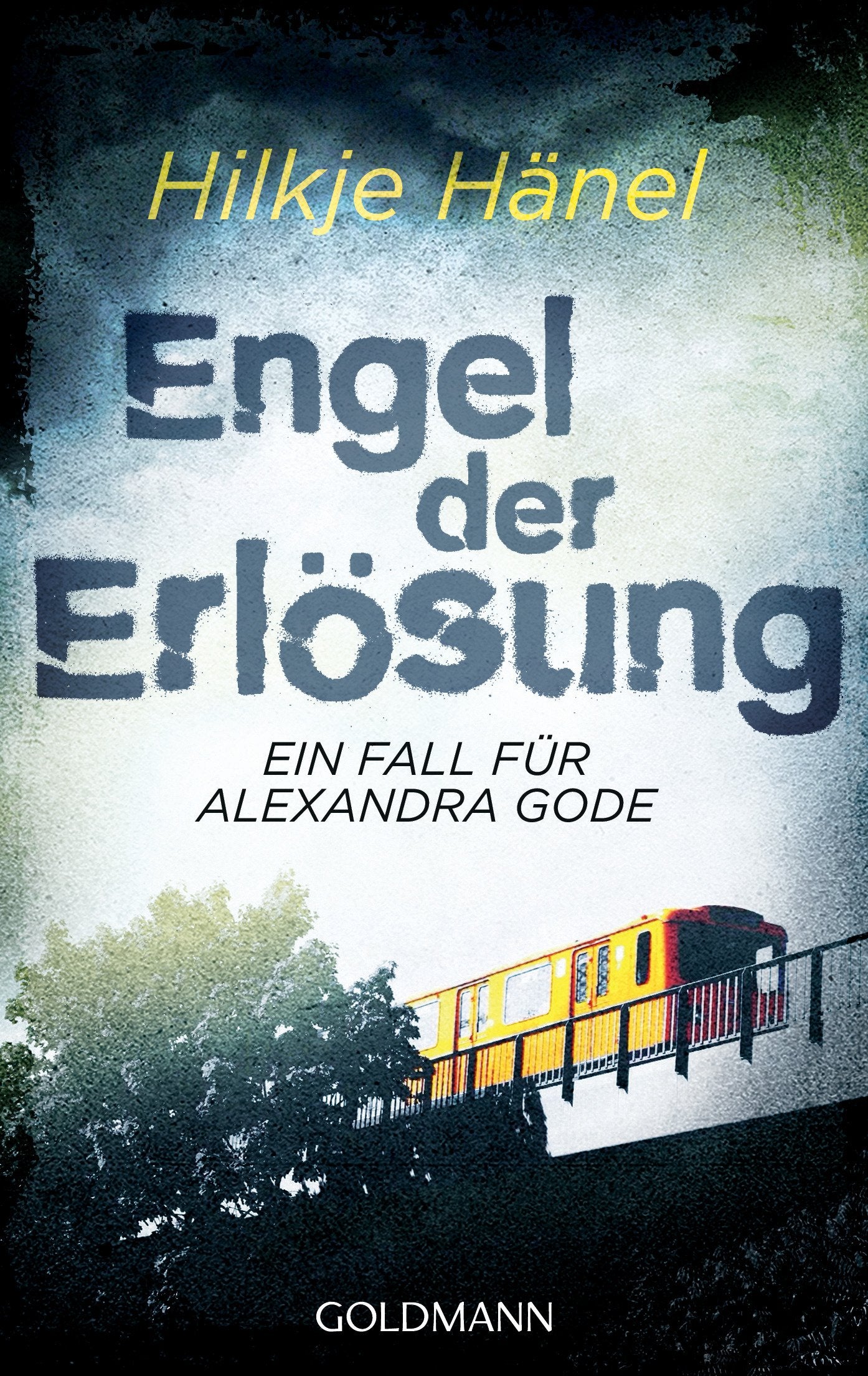 Engel der Erlösung Contemporary literature Books