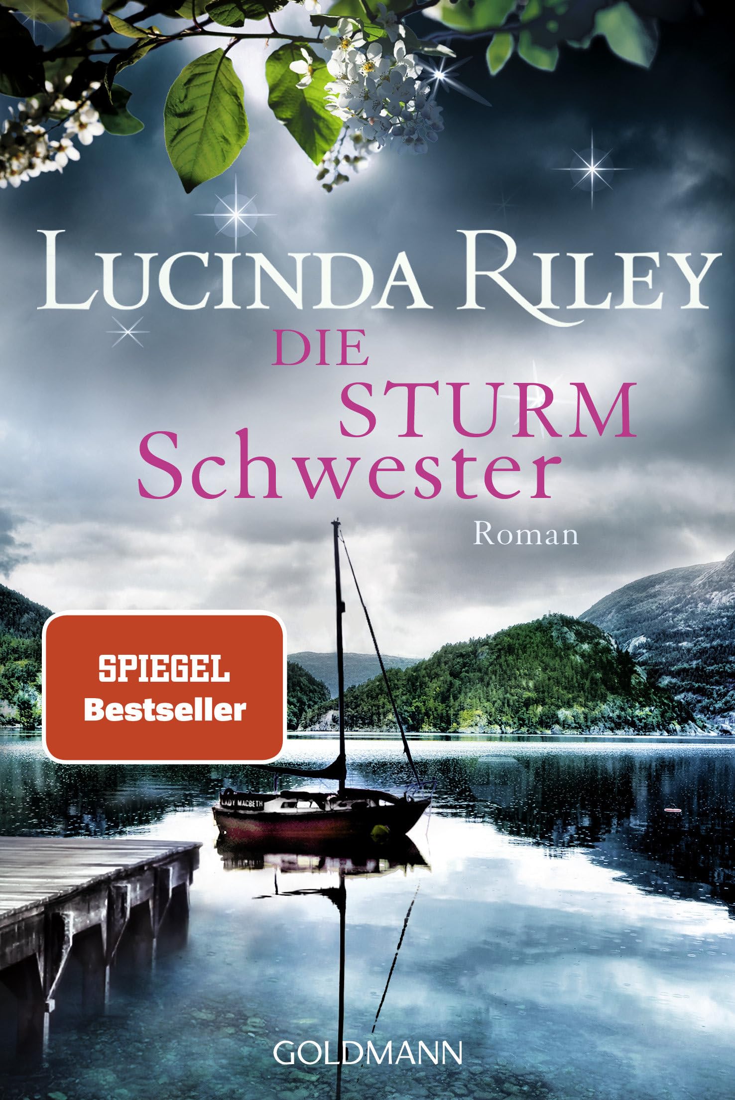 Die Sturmschwester Contemporary literature Books