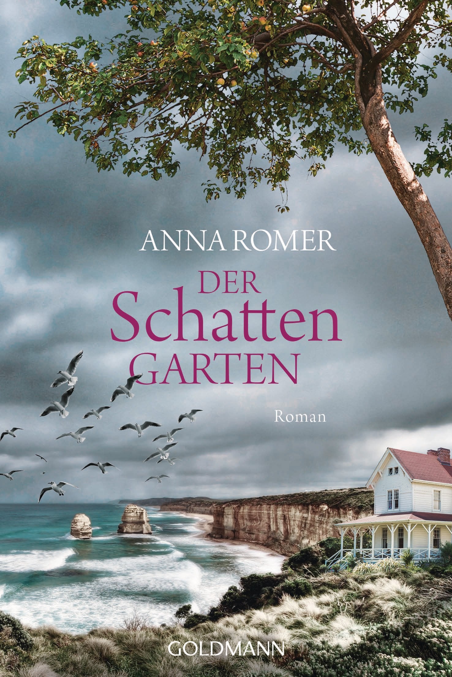 Der Schattengarten Contemporary literature Books