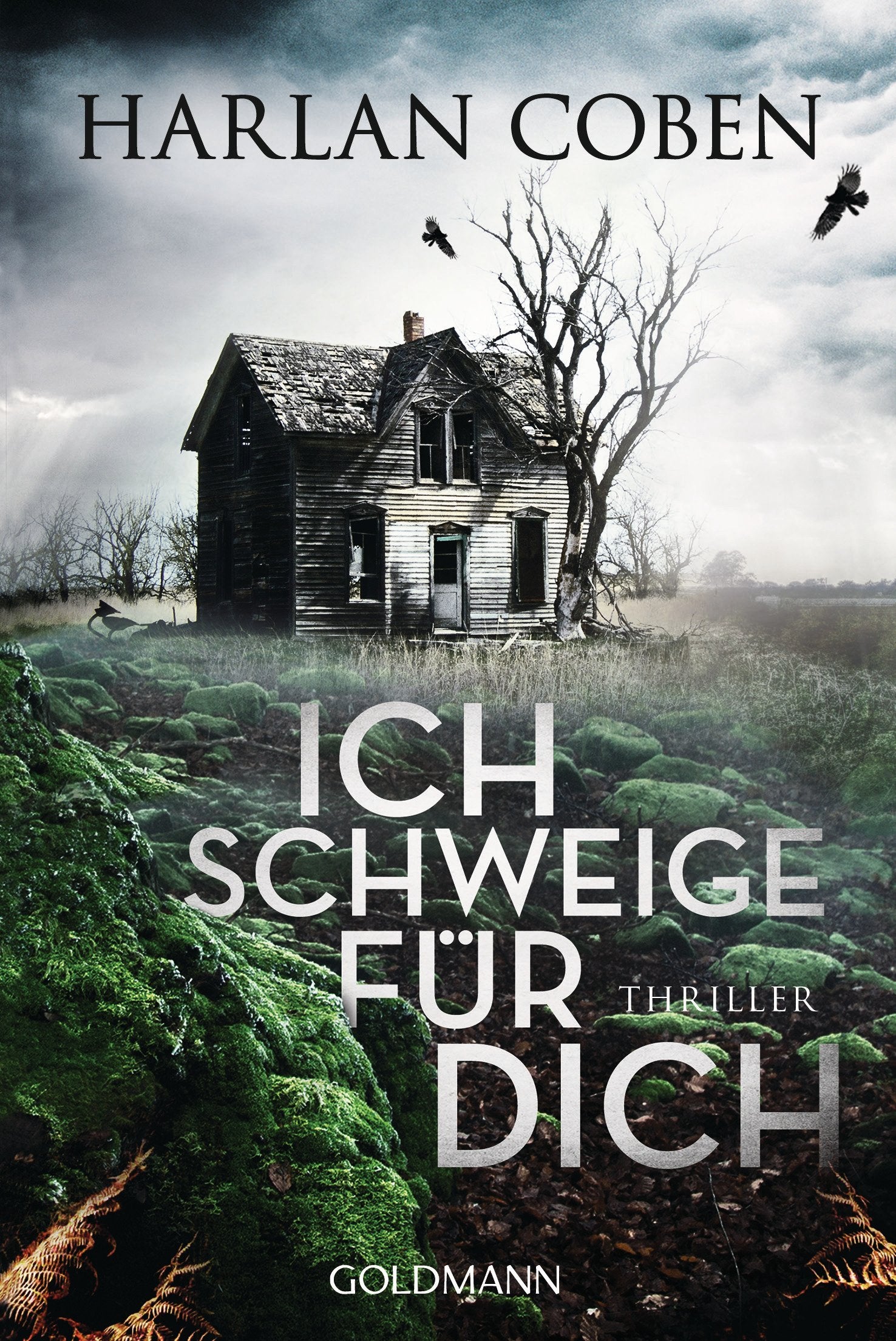 Ich schweige für dich Contemporary literature