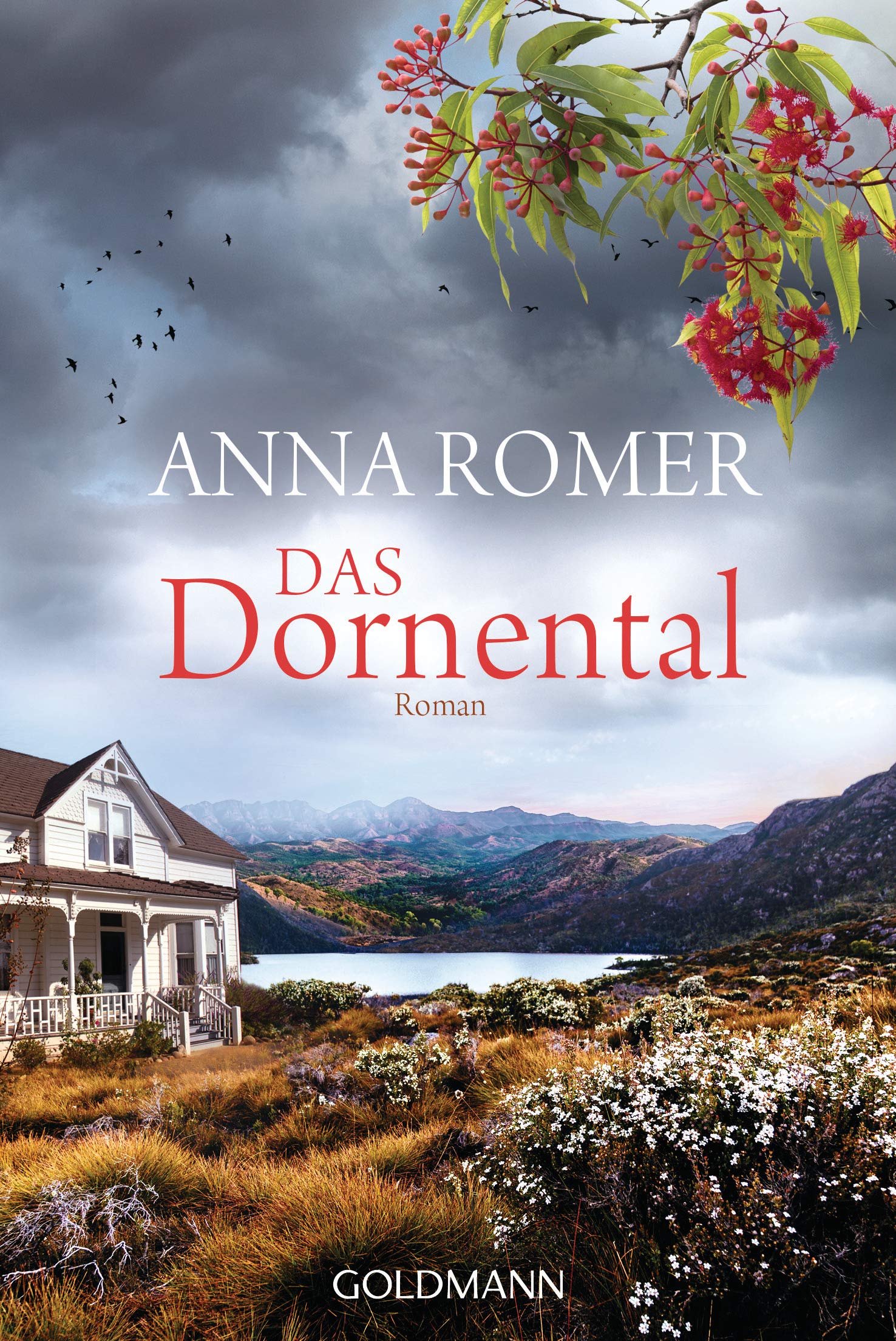 Das Dornental: Roman Contemporary literature