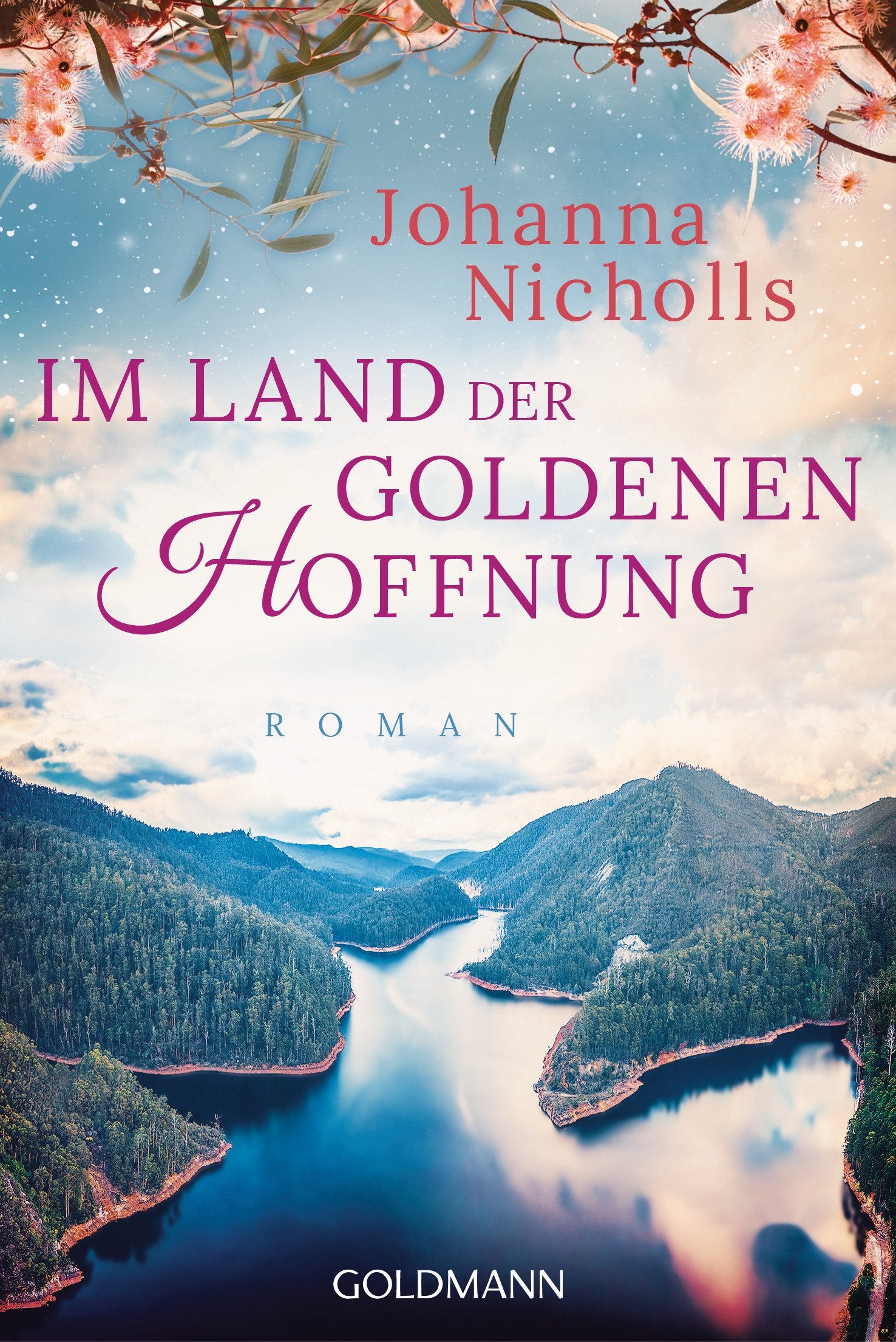 Im Land der goldenen Hoffnung Contemporary literature