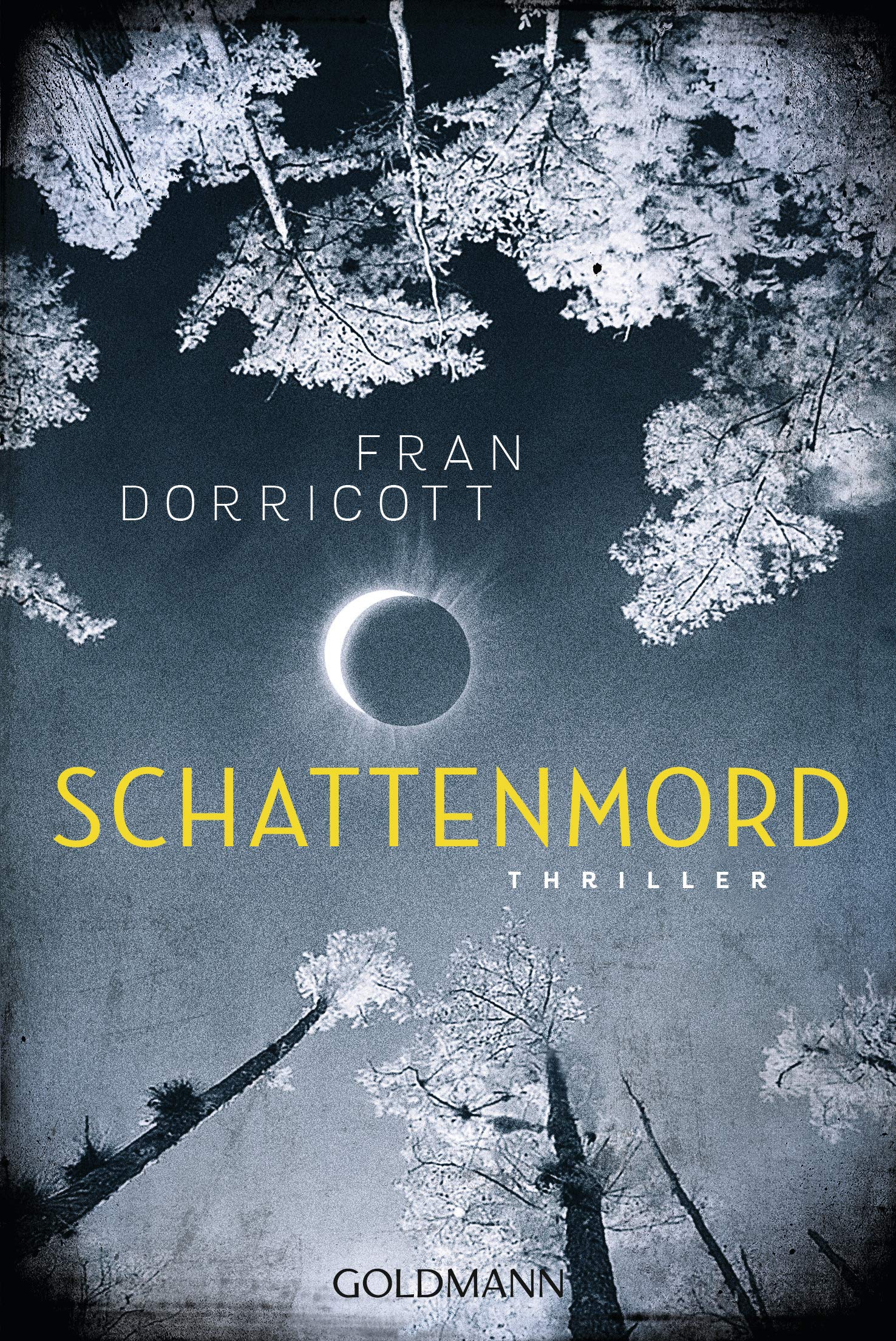 Schattenmord: Thriller Contemporary literature