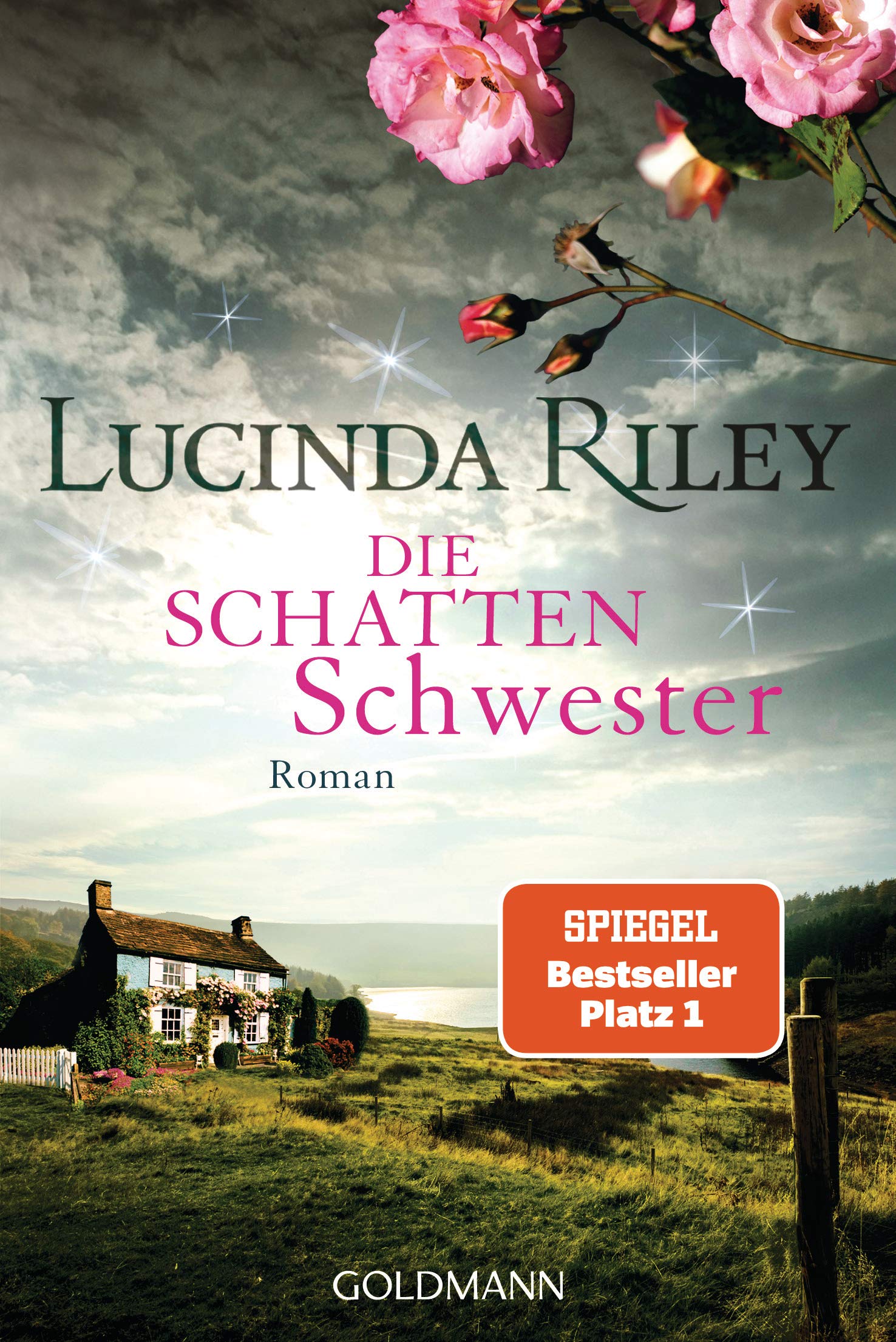 Die Schattenschwester Contemporary literature Books