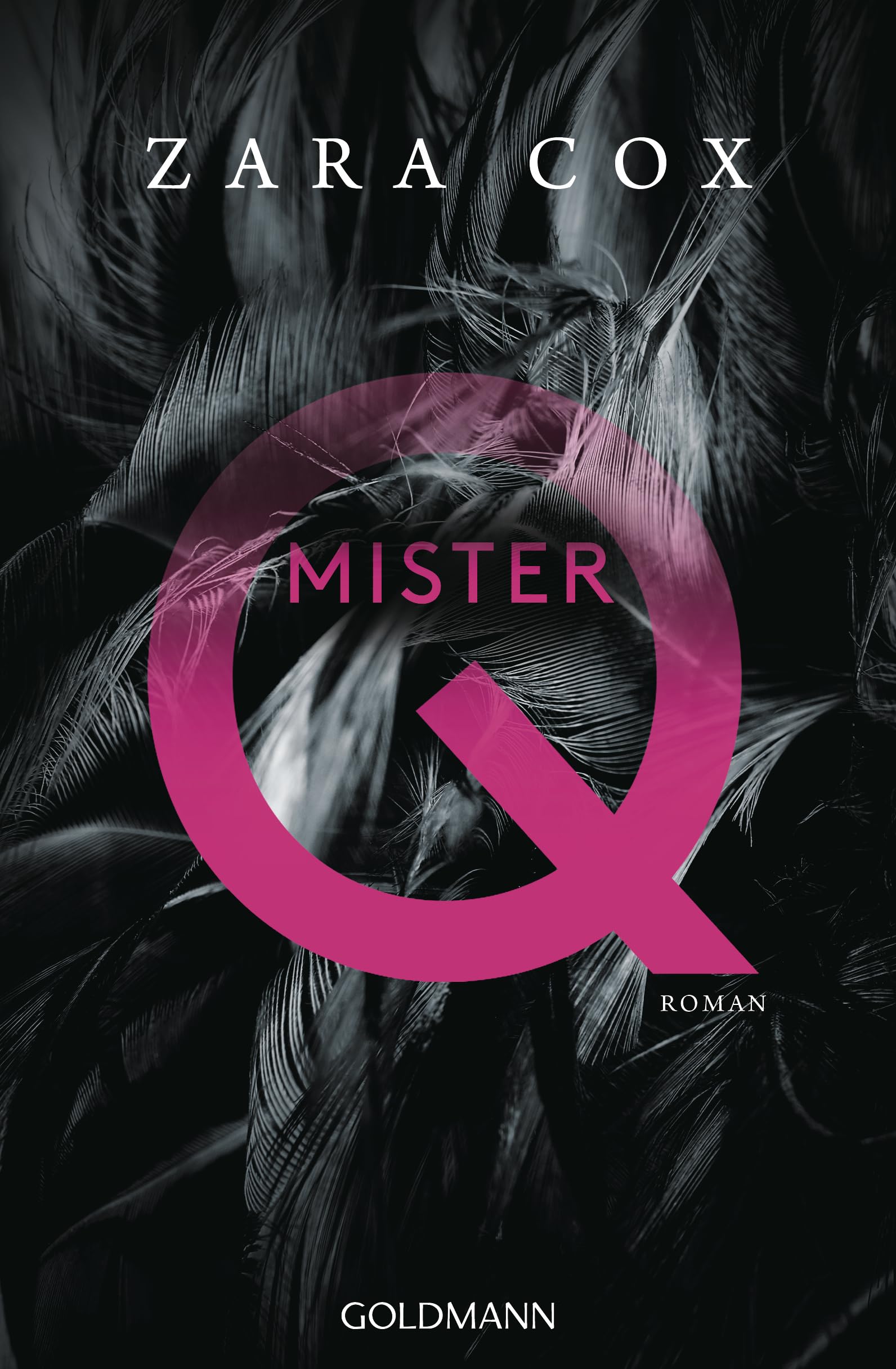 Mister Q Contemporary literature Books
