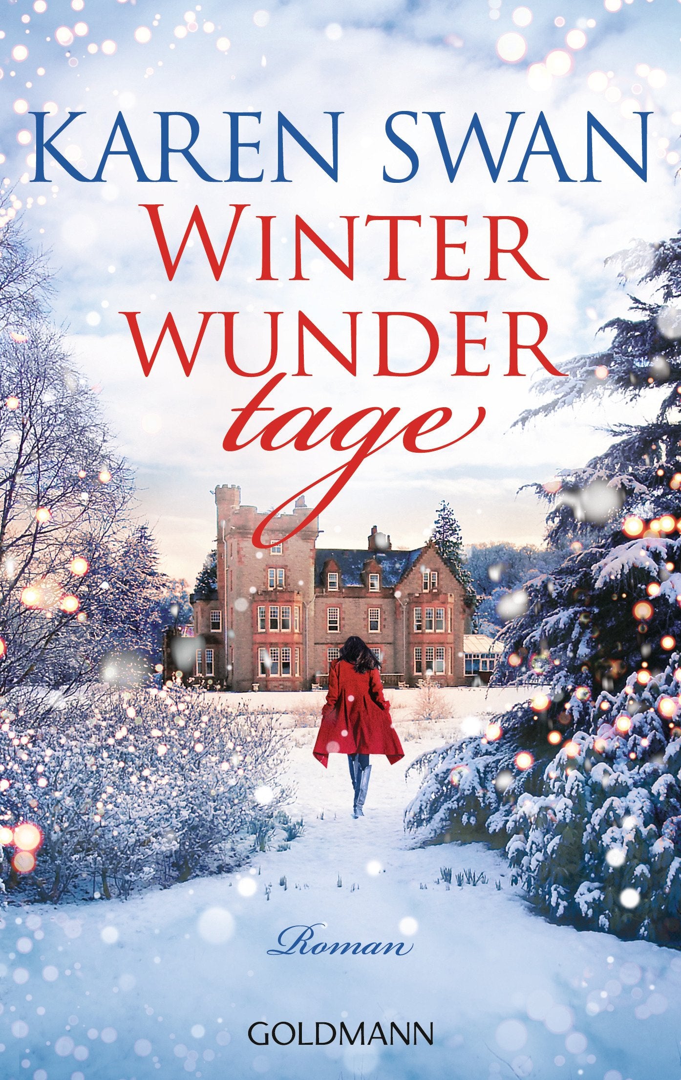 Winterwundertage Contemporary literature Books