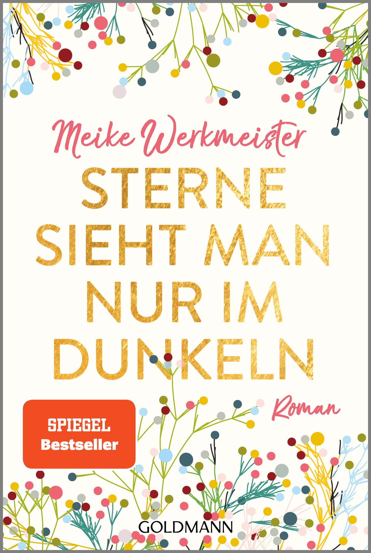 Sterne sieht man nur im Dunkeln Contemporary literature