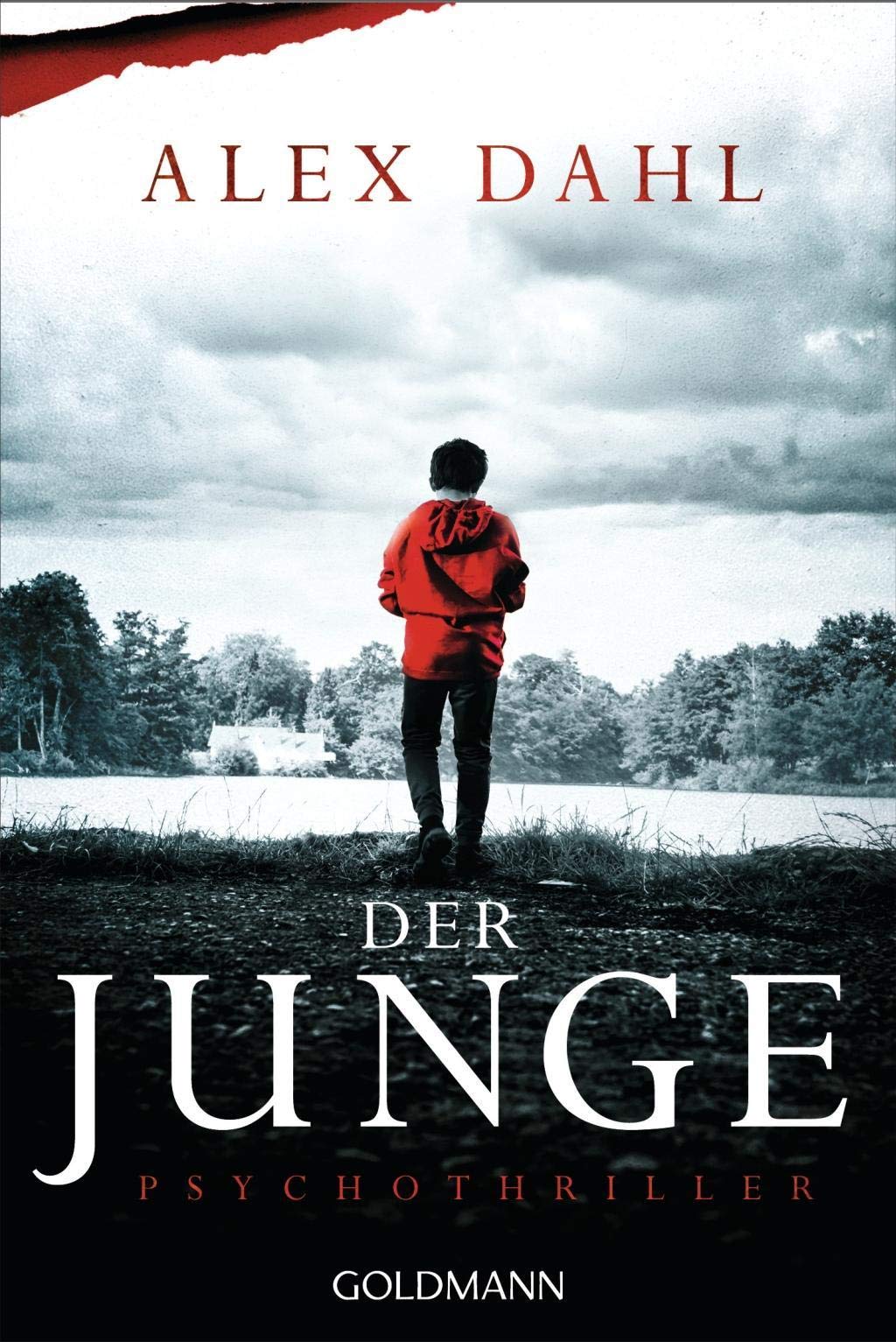 Der Junge Contemporary literature Books