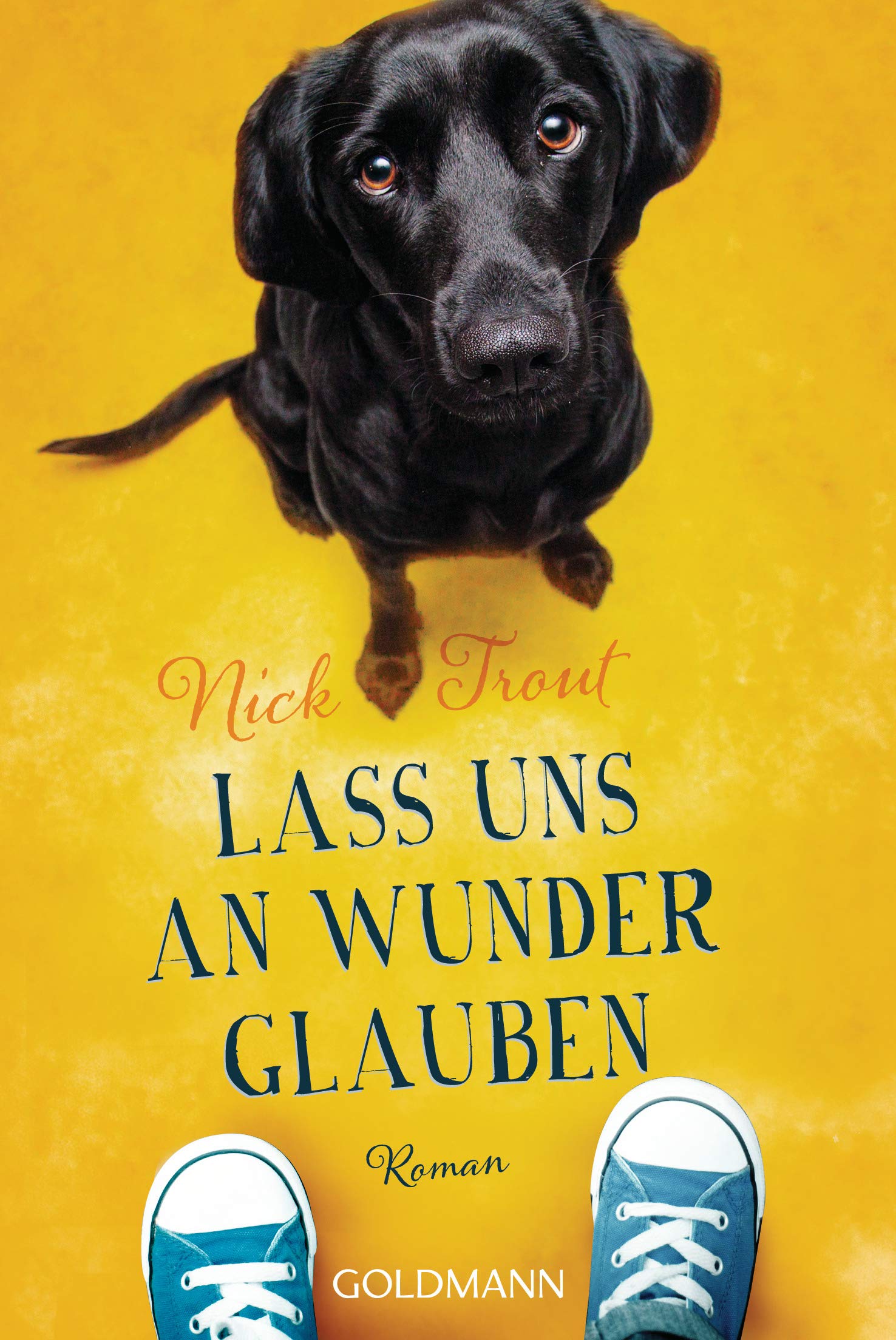 Lass uns an Wunder glauben Contemporary literature Books