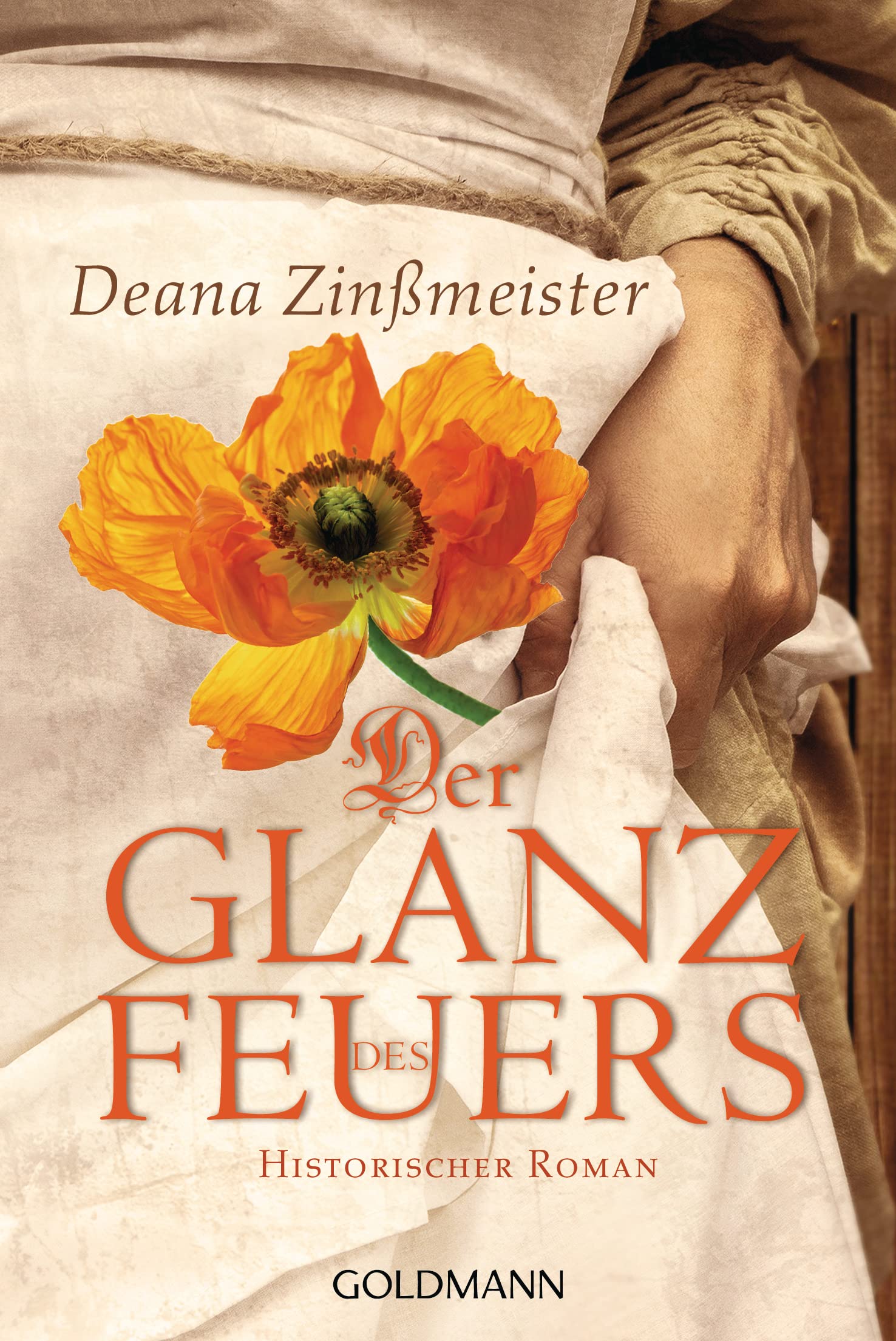 Der Glanz des Feuers: Historischer Roman Historical Fiction