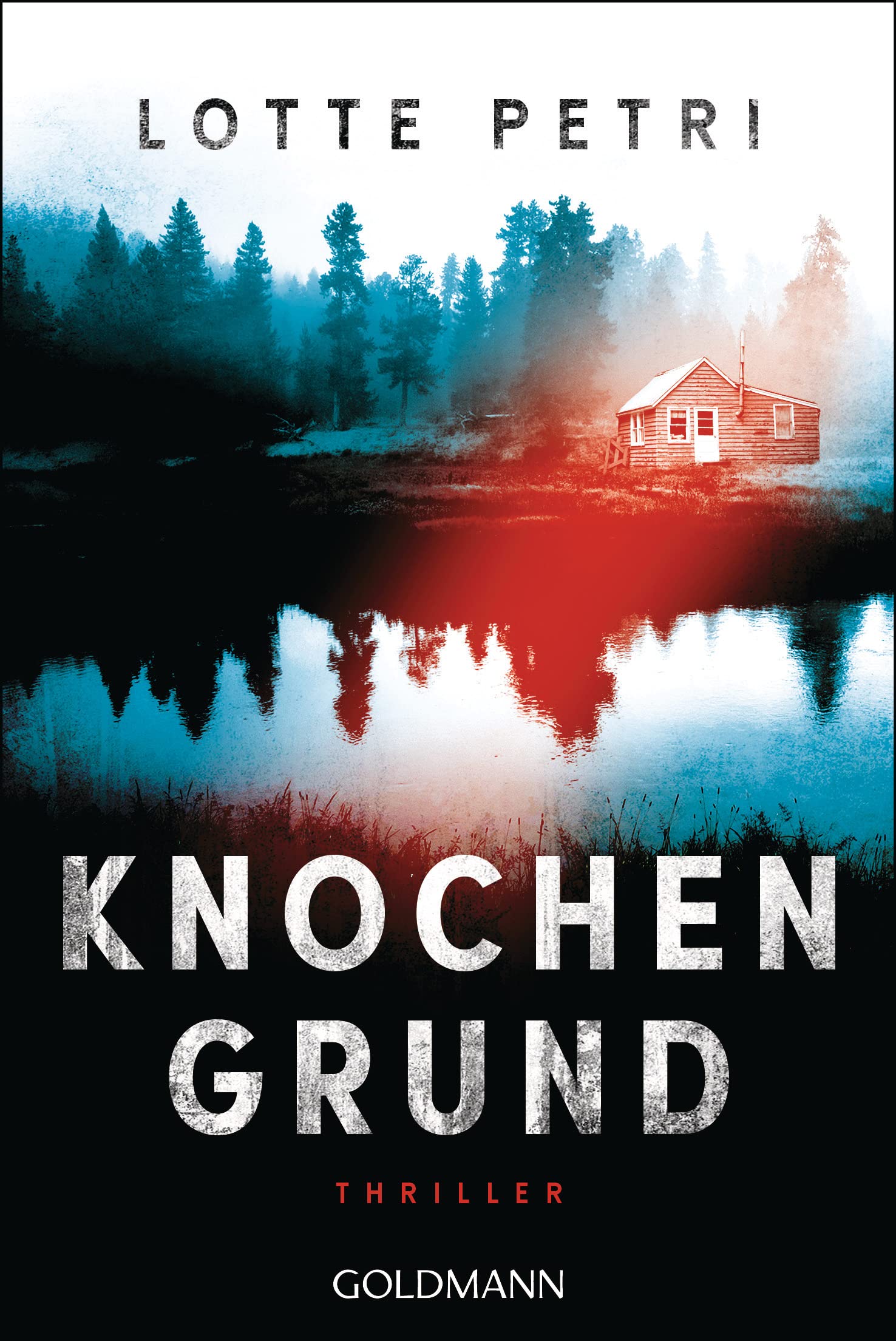 Knochengrund Contemporary literature Books