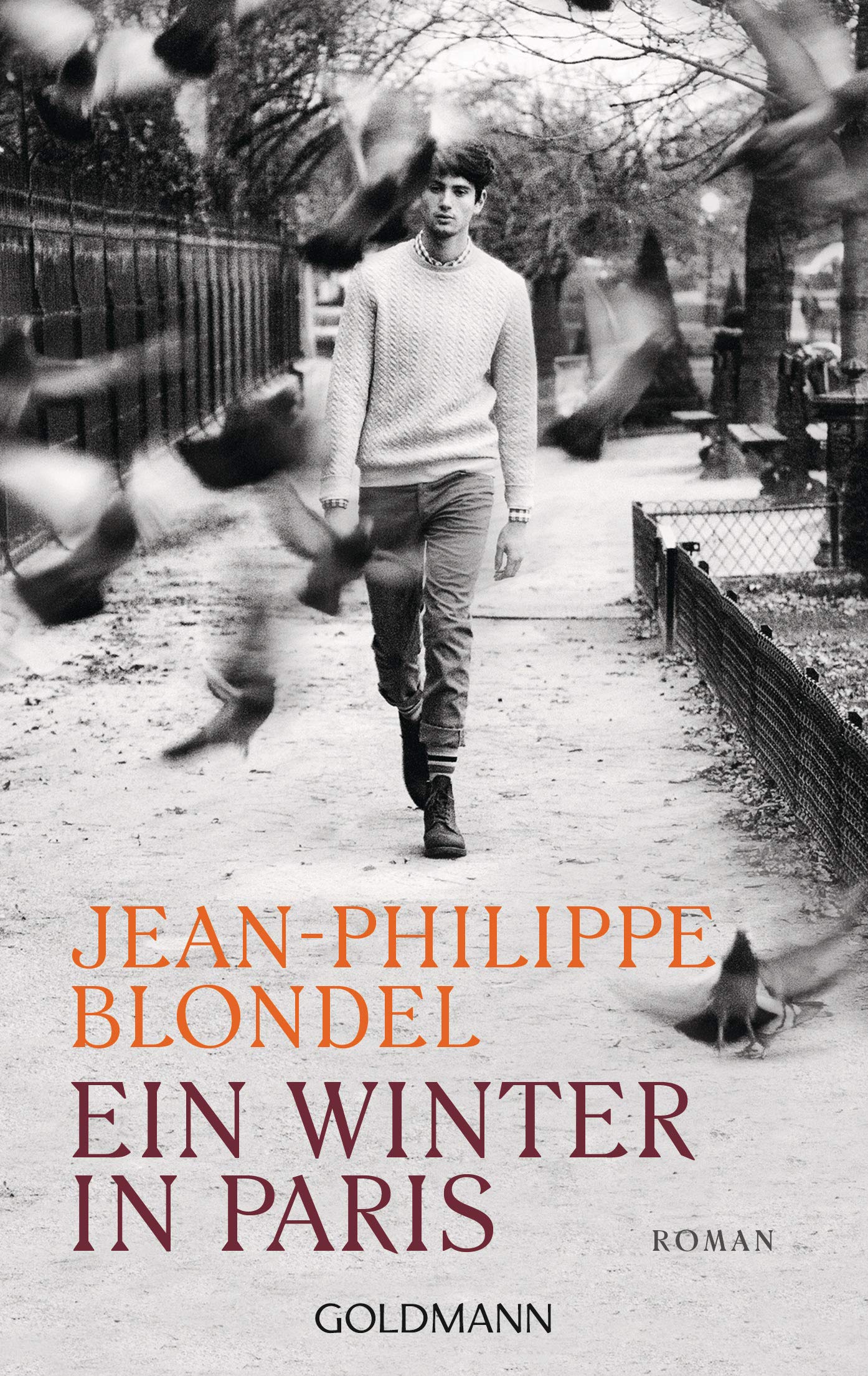 Ein Winter in Paris Contemporary literature Books