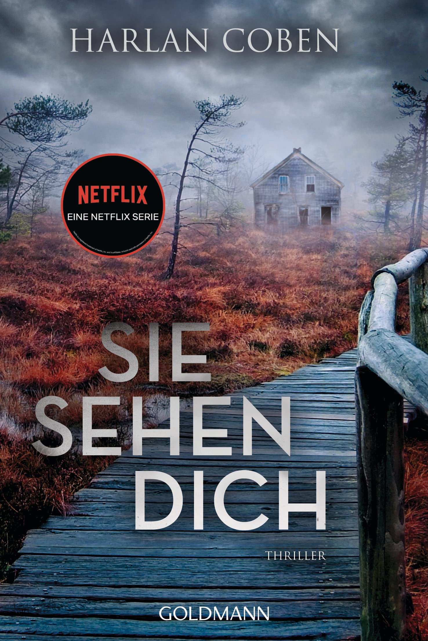 Sie sehen dich Contemporary literature Books