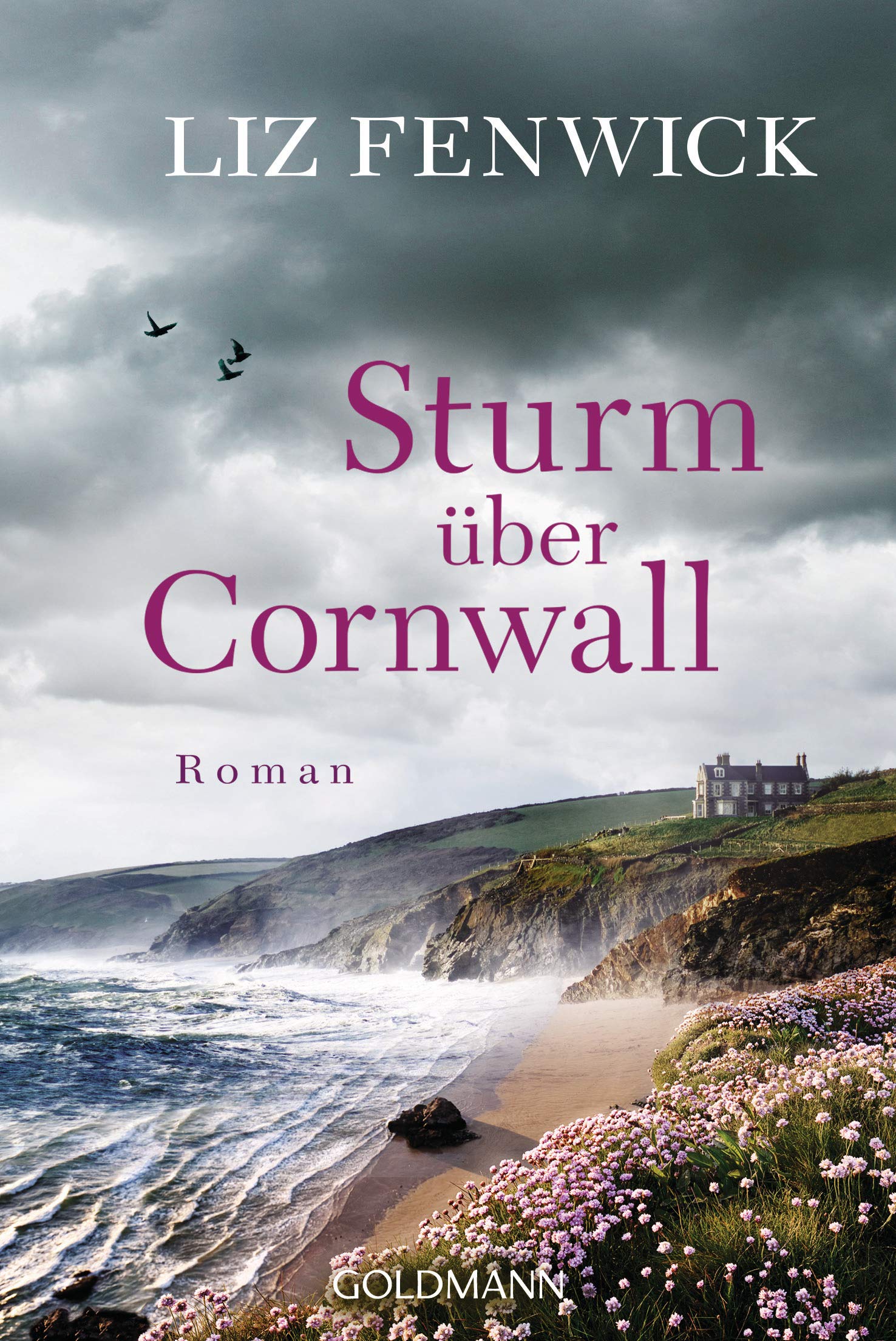 Product Image: Sturm über Cornwall