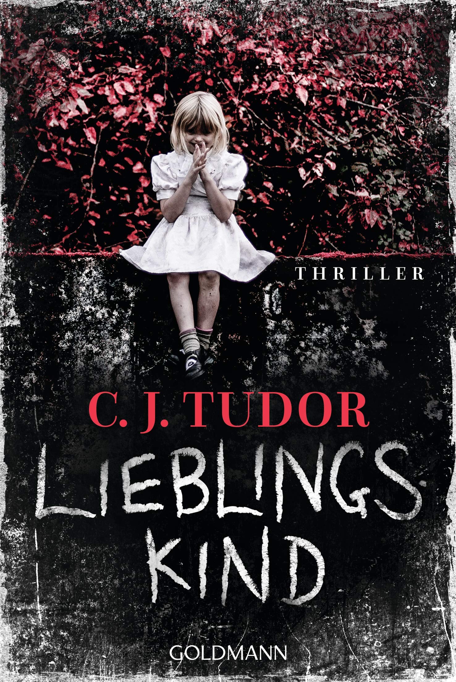 Lieblingskind: Thriller Horror & Mystery