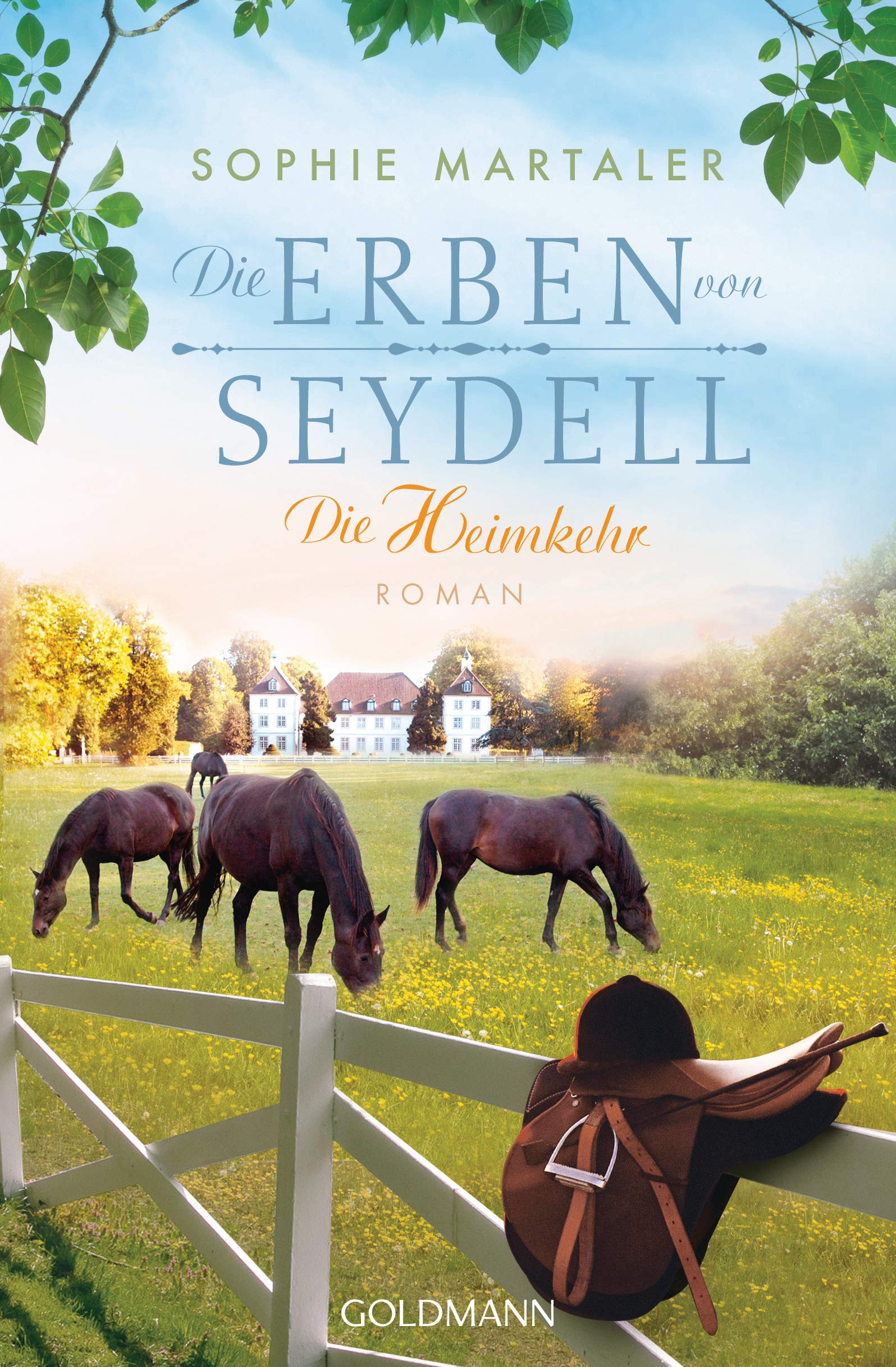 Die Erben von Seydell - Die Heimkehr Contemporary literature
