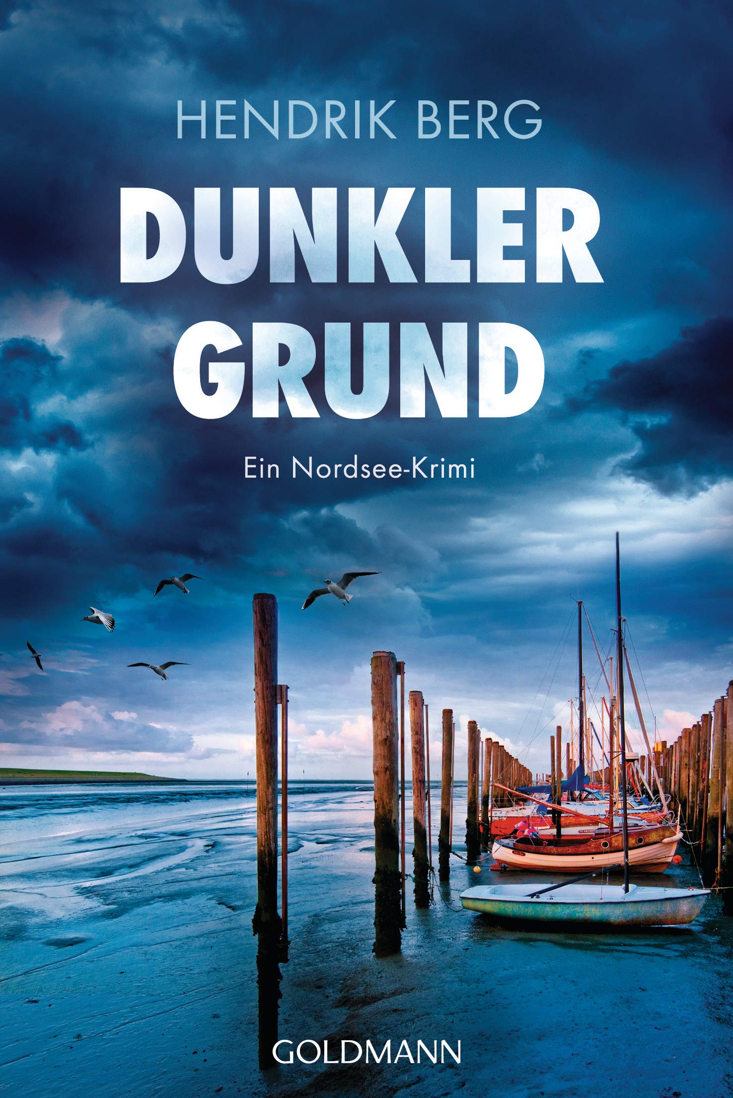 Dunkler Grund Contemporary literature Books