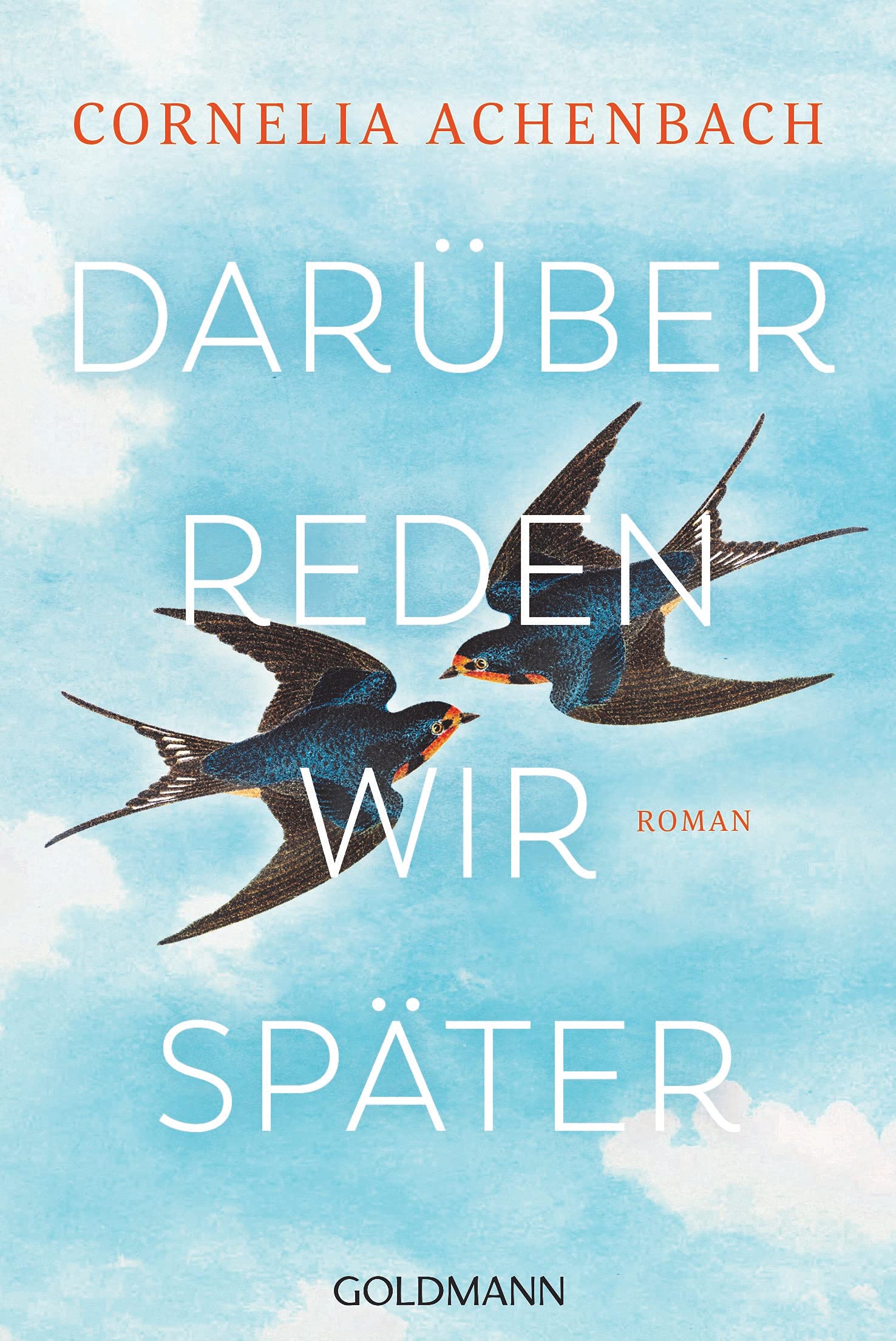 Darüber reden wir später Contemporary literature Books
