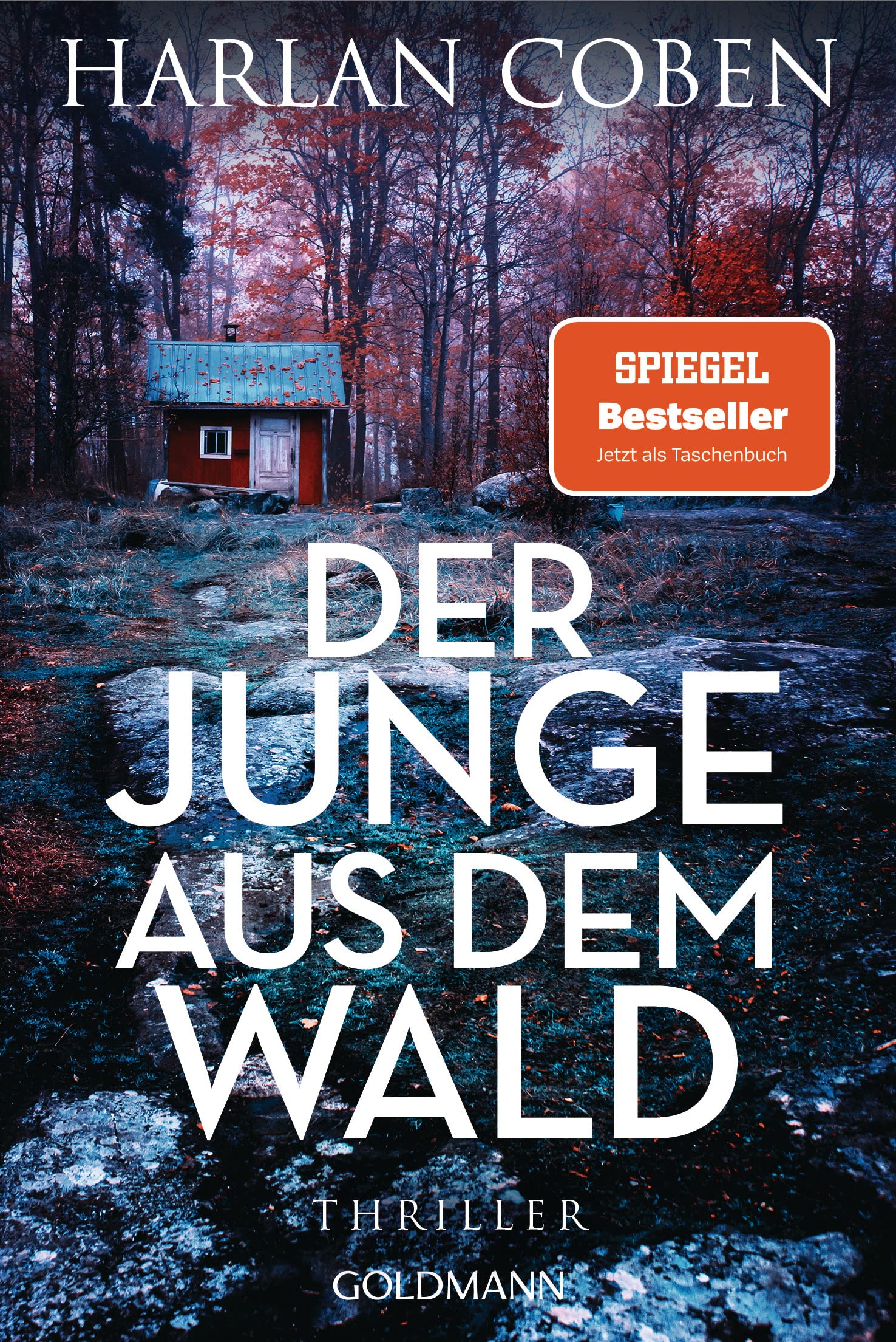 Product Image: Der Junge aus dem Wald