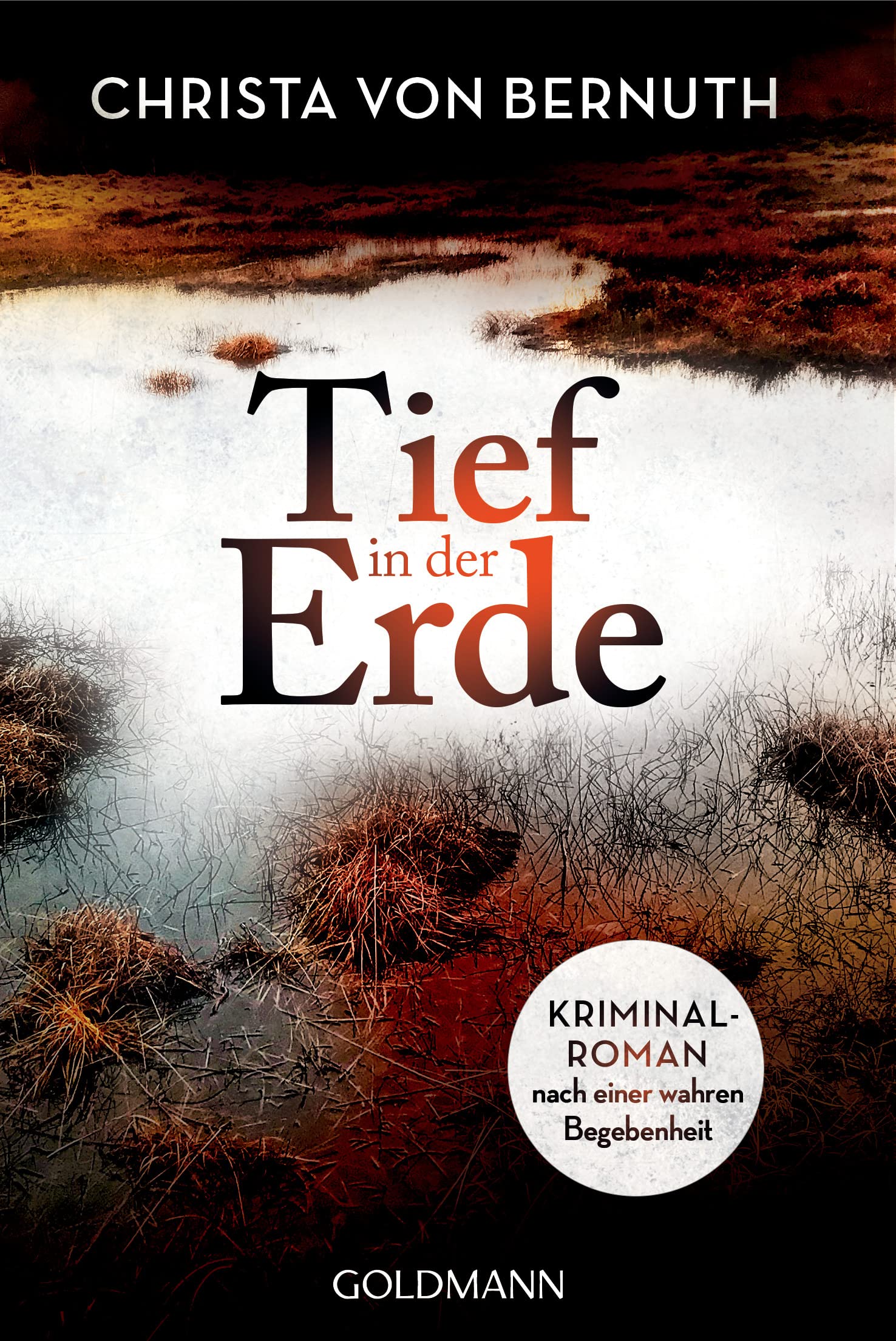 Tief in der Erde Contemporary literature Books
