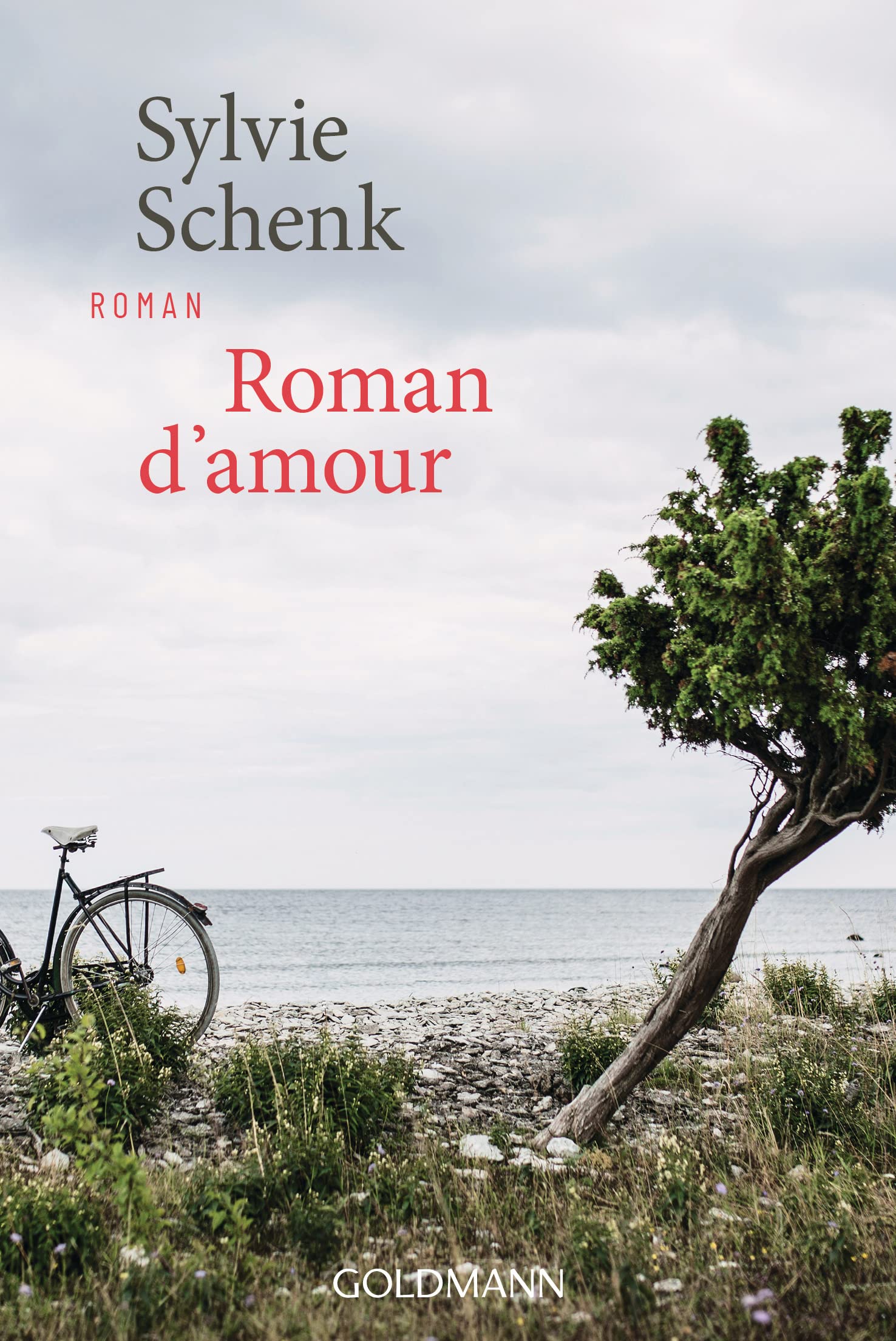 Roman d'amour Contemporary literature Books