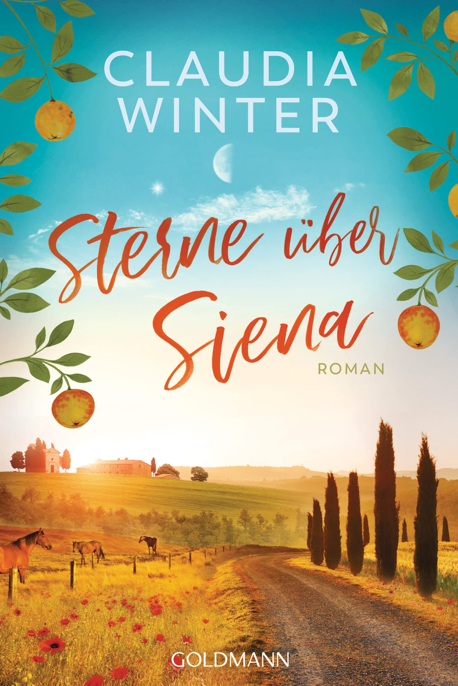 Sterne über Siena: Roman Contemporary literature
