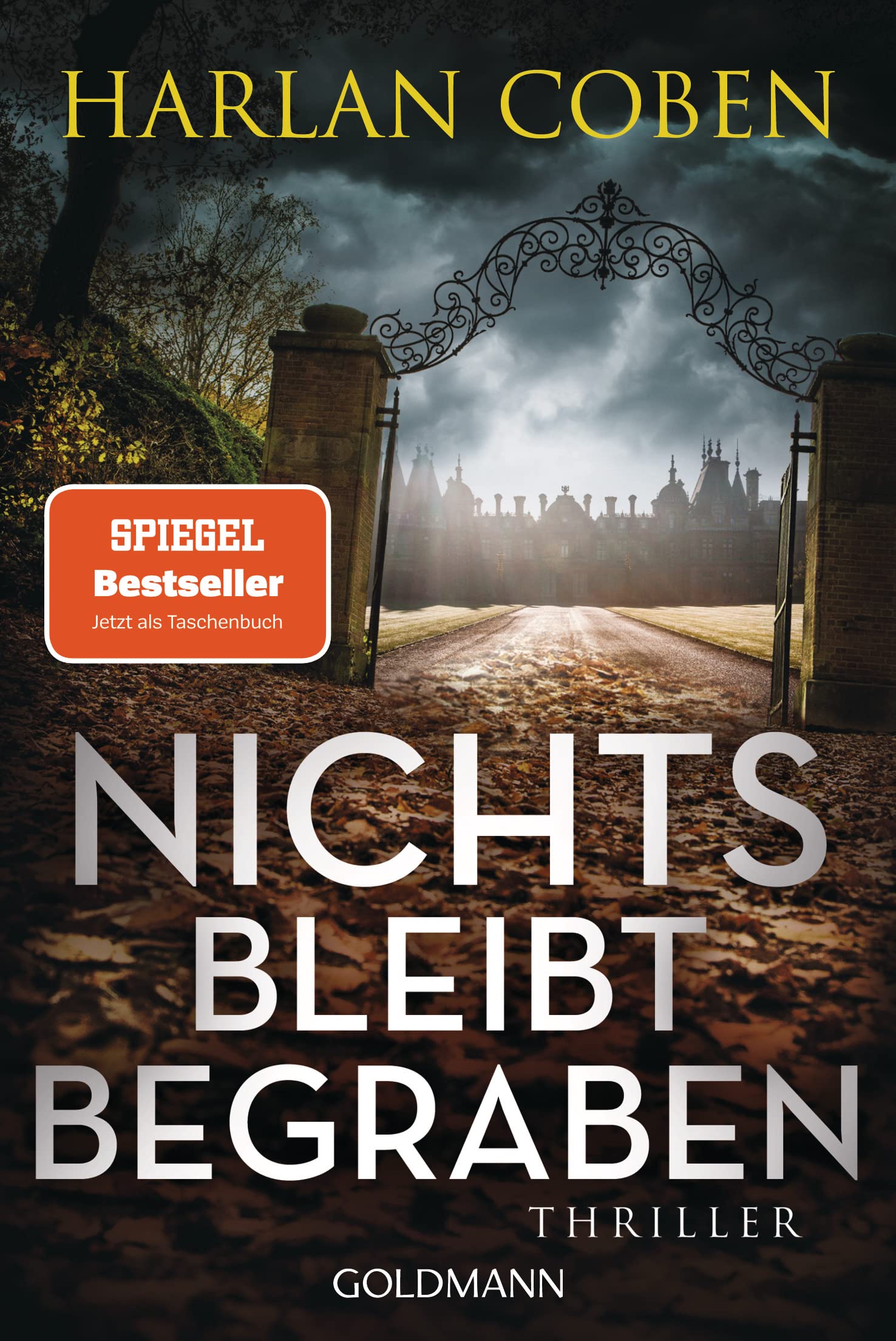 Nichts bleibt begraben Contemporary literature