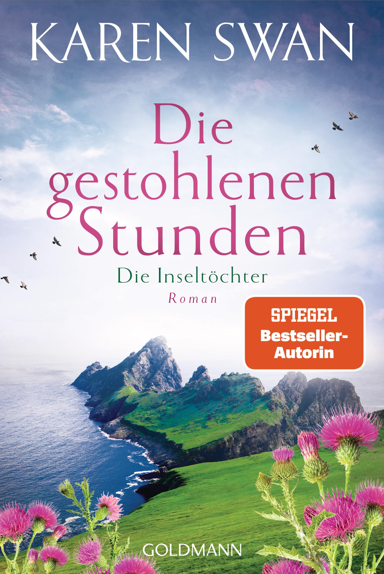 Die Inseltöchter - Die gestohlenen Stunden Contemporary literature