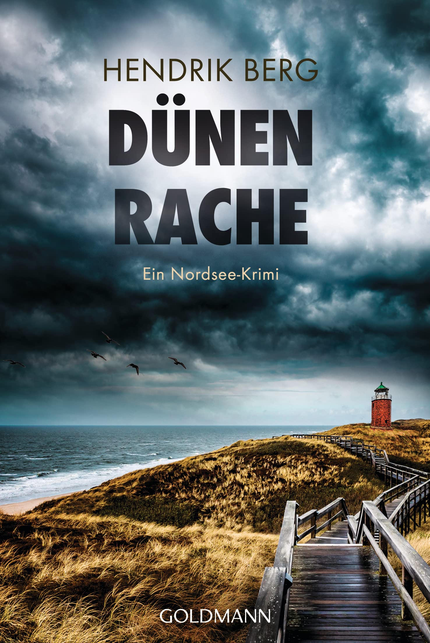 Dünenrache Contemporary literature Books