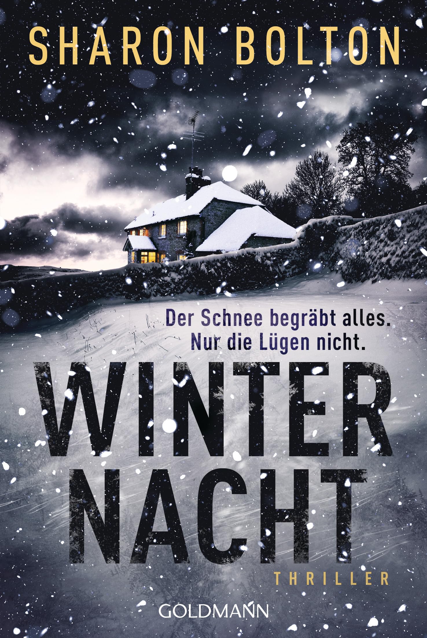 Winternacht - Der Schnee begräbt alles. Nur die Lügen nicht Contemporary literature