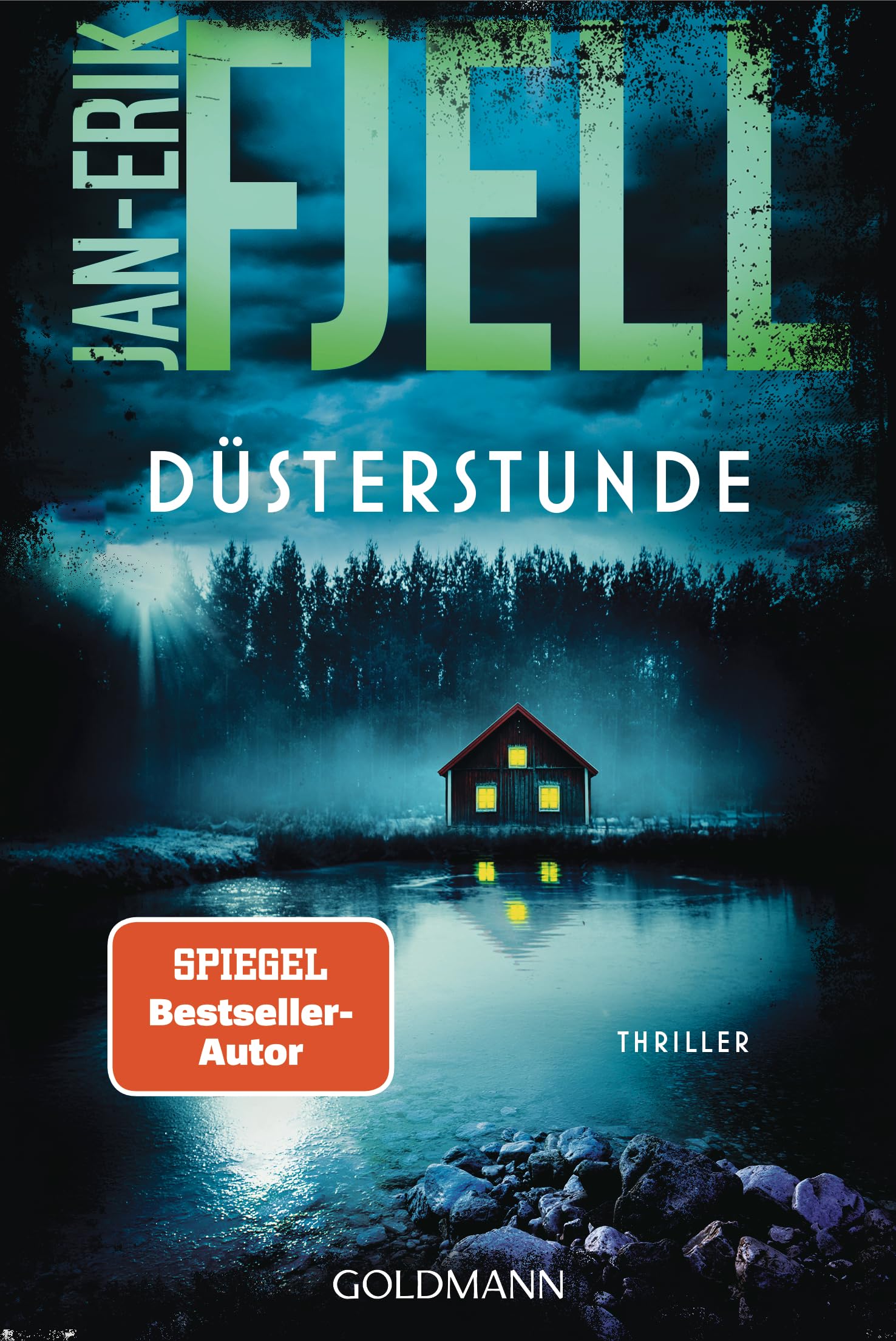 Düsterstunde: Thriller - "Schlicht und einfach grandios." (Geir Tangen) (Anton-Brekke-Reihe, Band 5) Contemporary literature