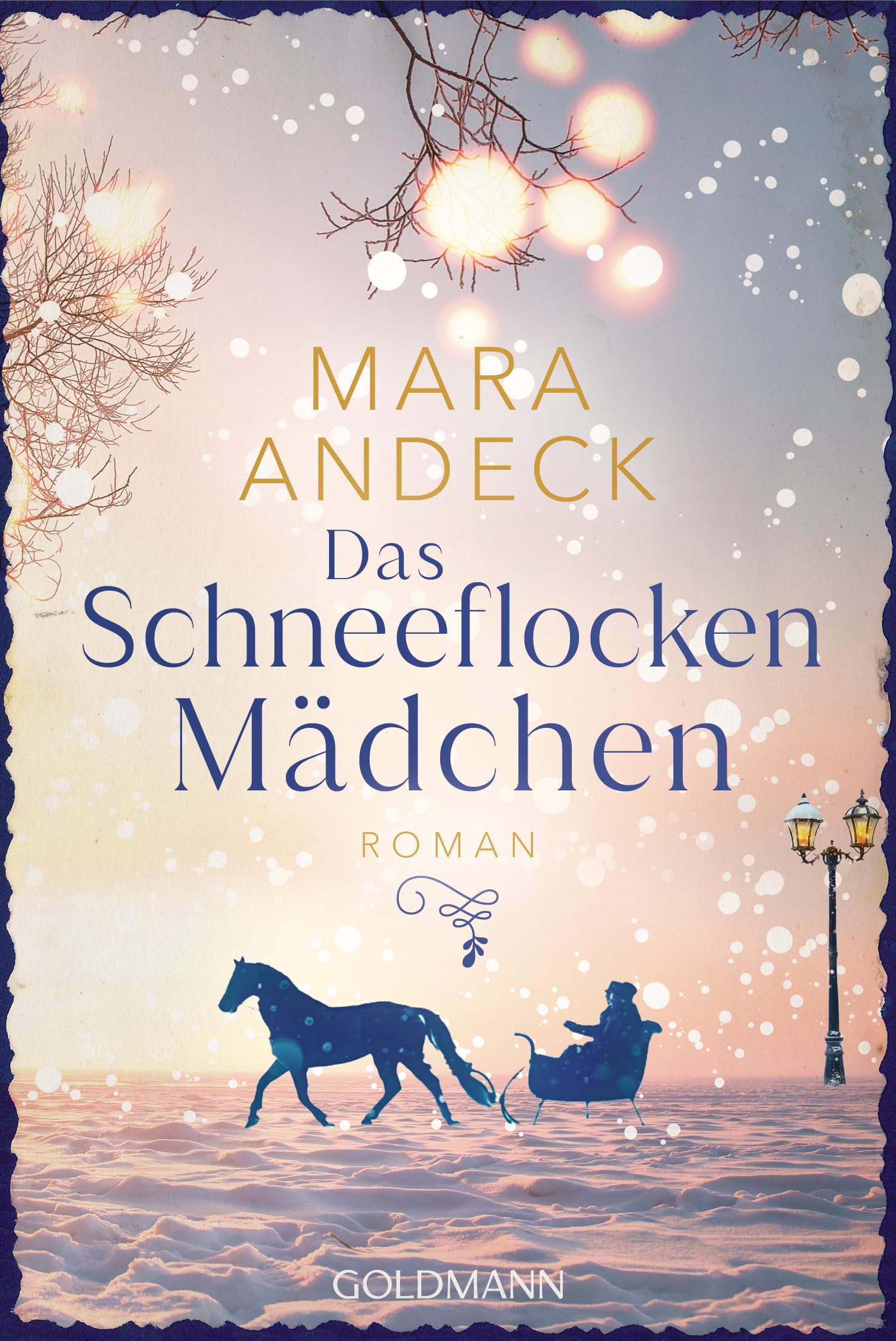 Das Schneeflockenmädchen Contemporary literature Books