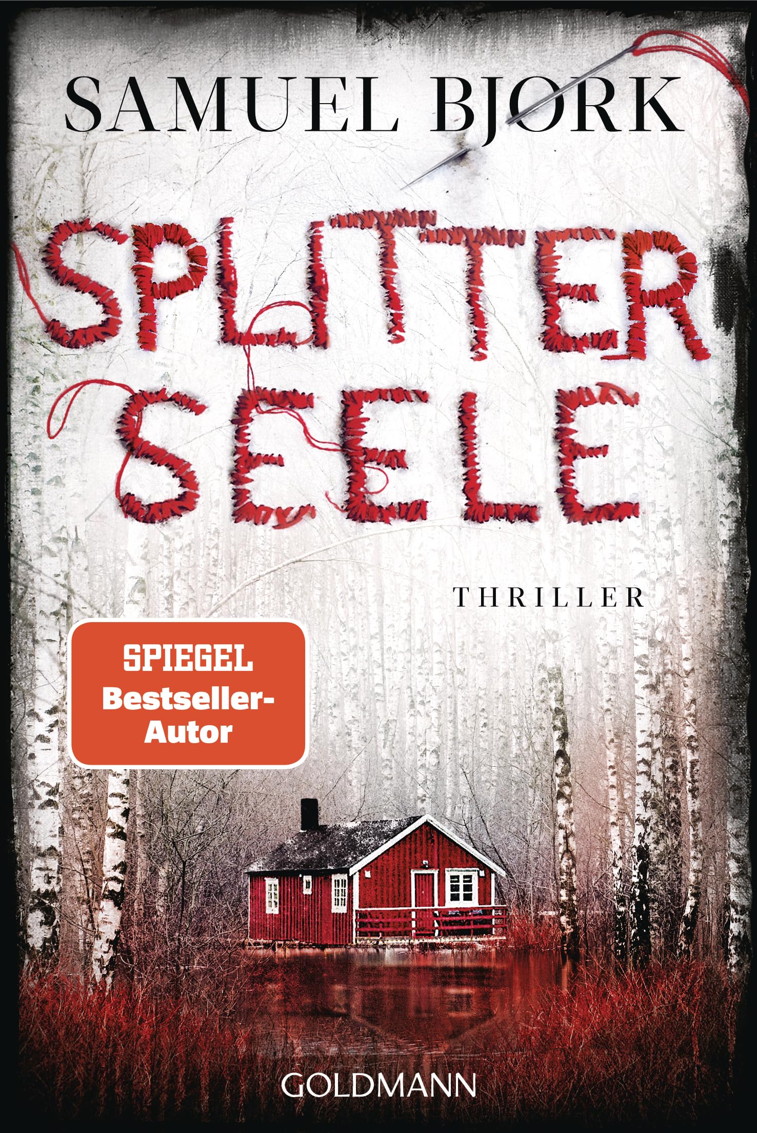Splitterseele: Thriller (Holger Munch und Mia Krüger, Band 6) Contemporary literature