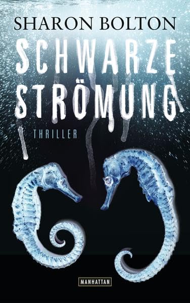 Schwarze Strömung - Lacey Flint 4 Contemporary literature