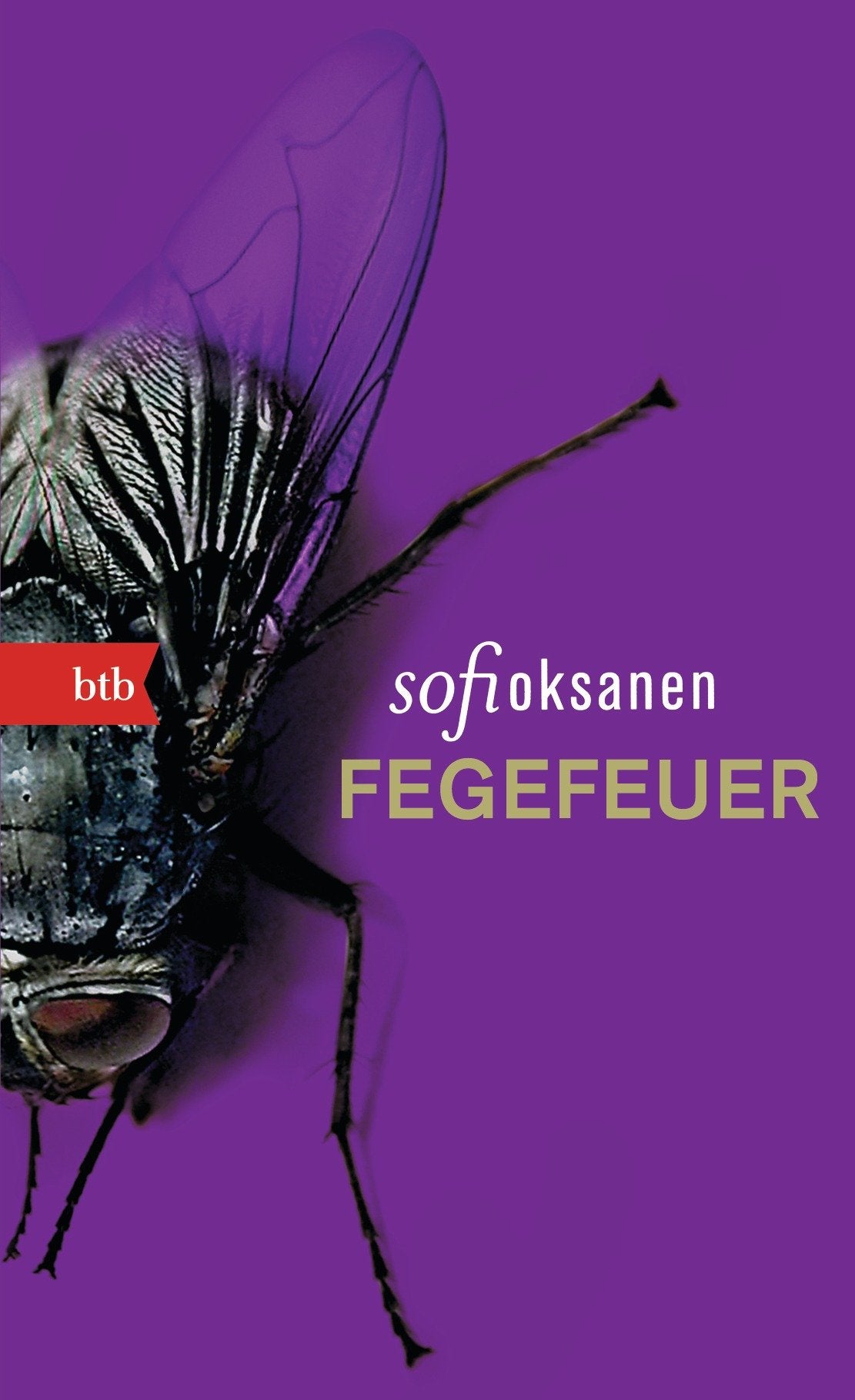 Fegefeuer Contemporary literature Books