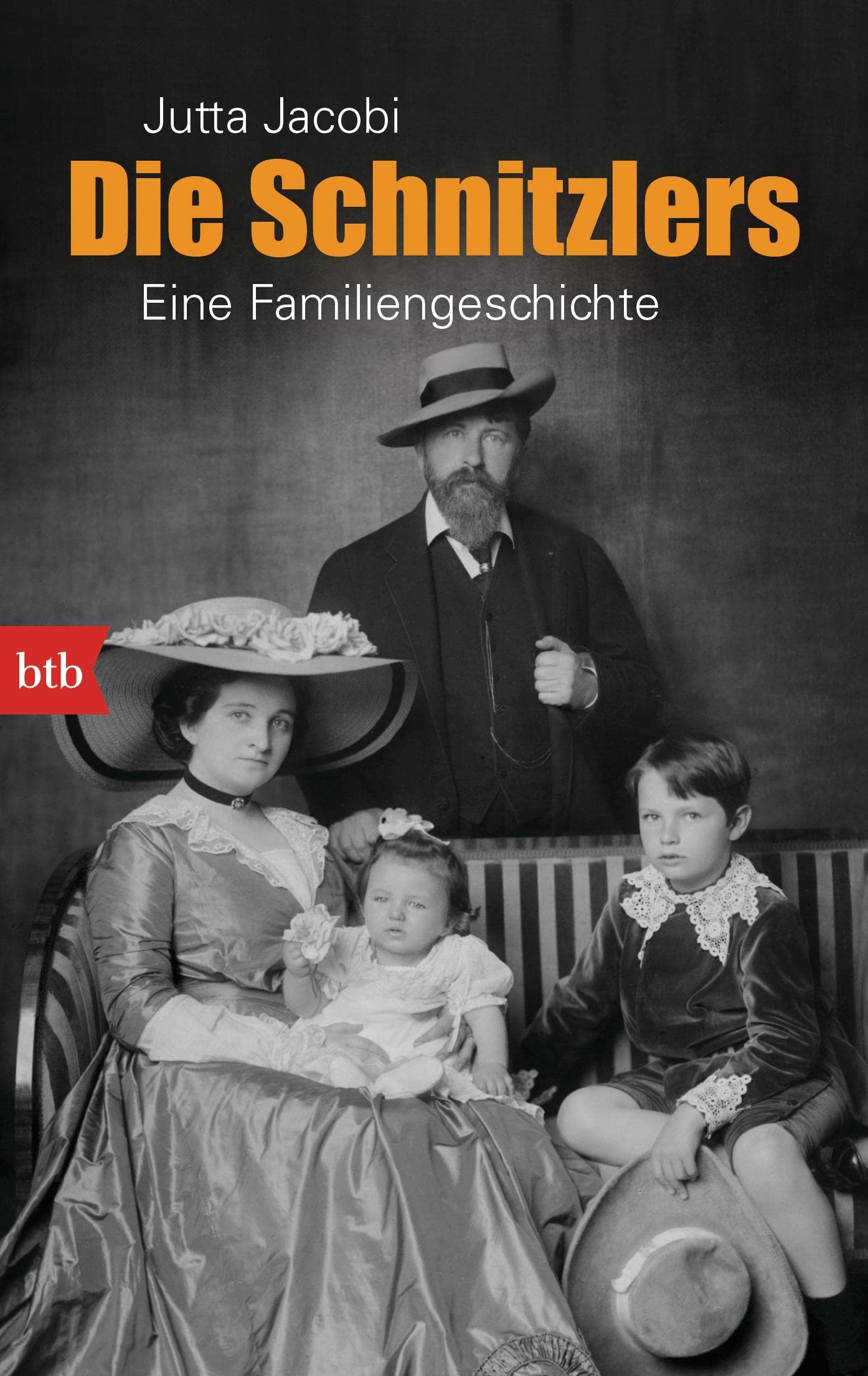 Die Schnitzlers Politics & Society Books