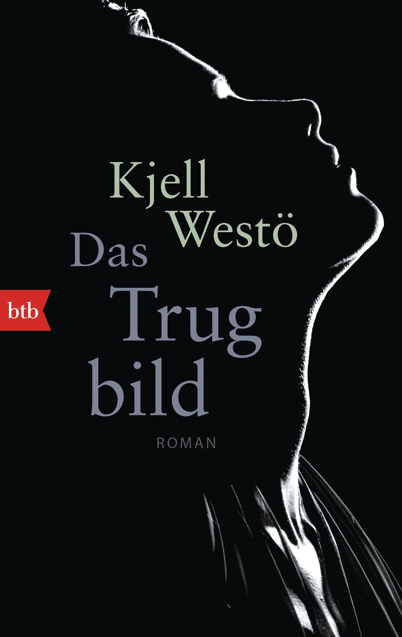 Das Trugbild Contemporary literature Books