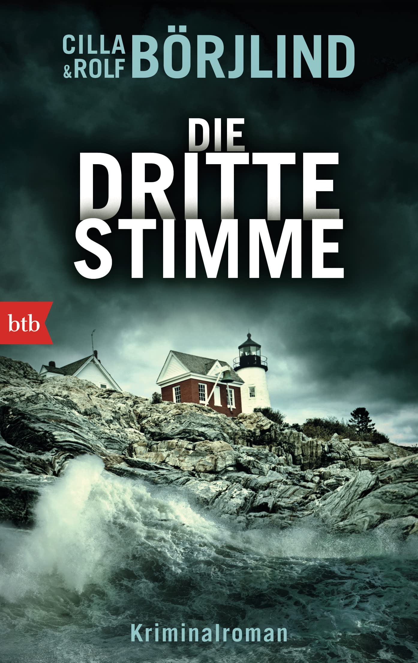 Die dritte Stimme Contemporary literature Books