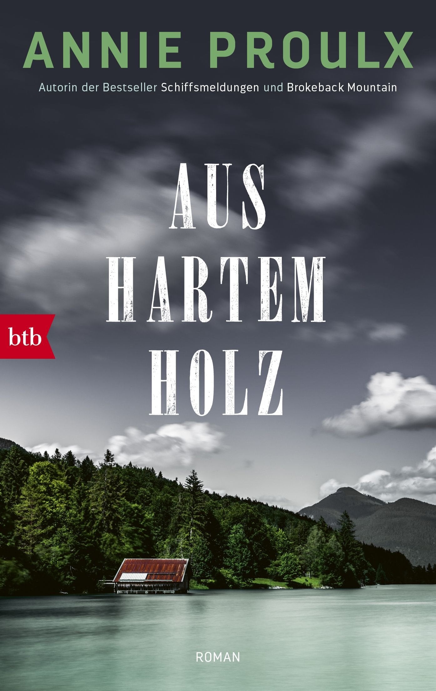 Aus hartem Holz Contemporary literature Books