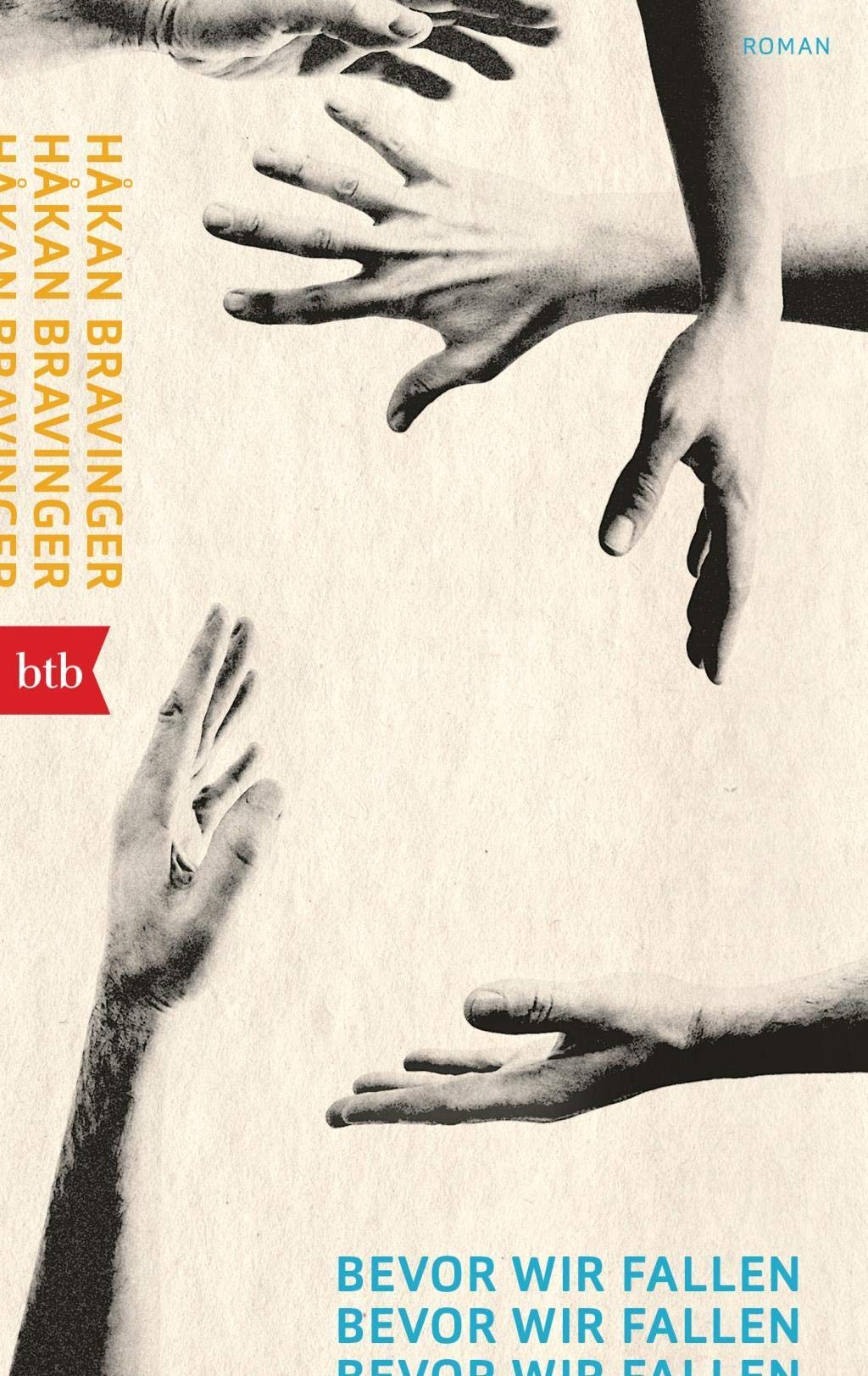 Bevor wir fallen Contemporary literature Books