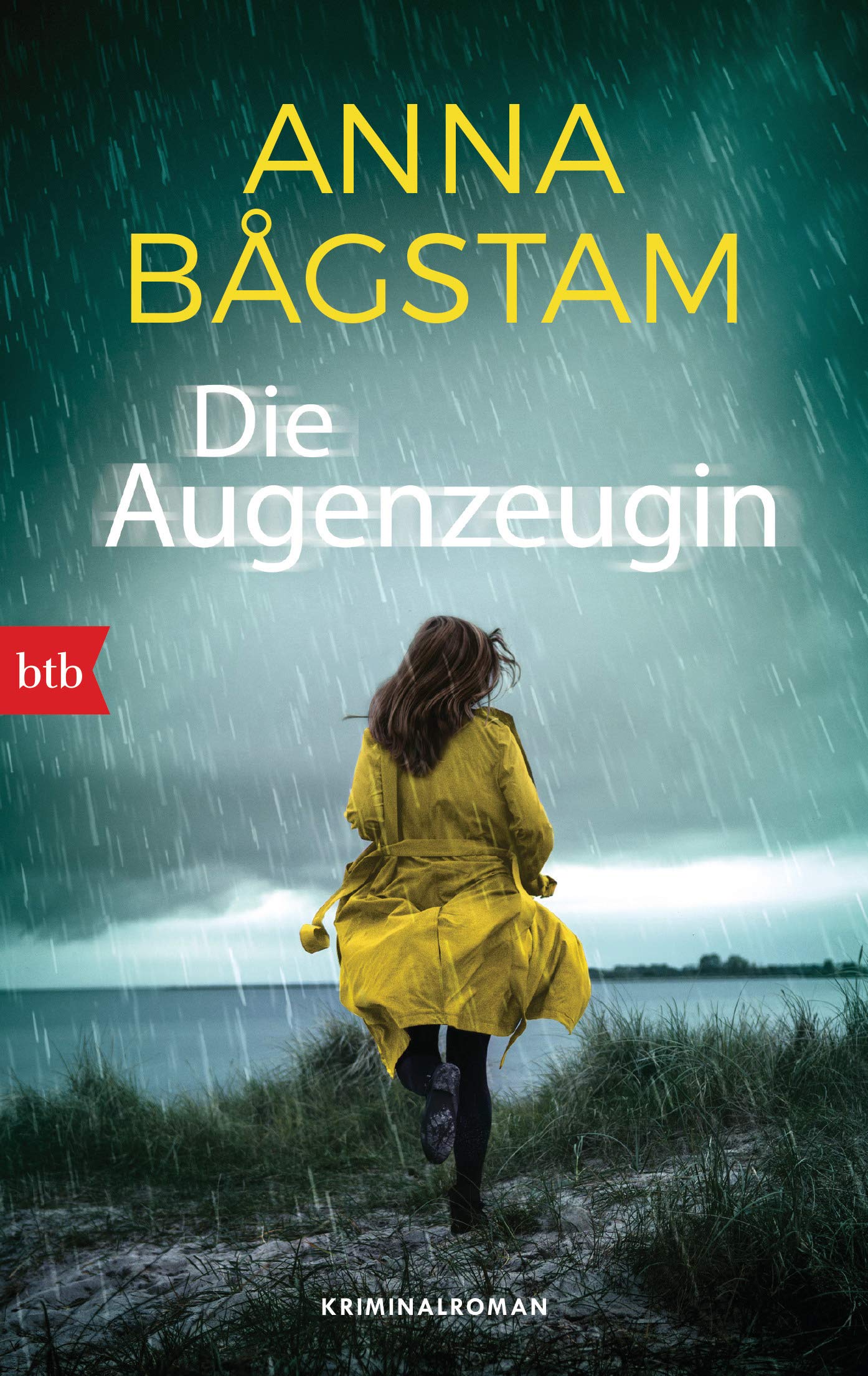 Die Augenzeugin Contemporary literature Books